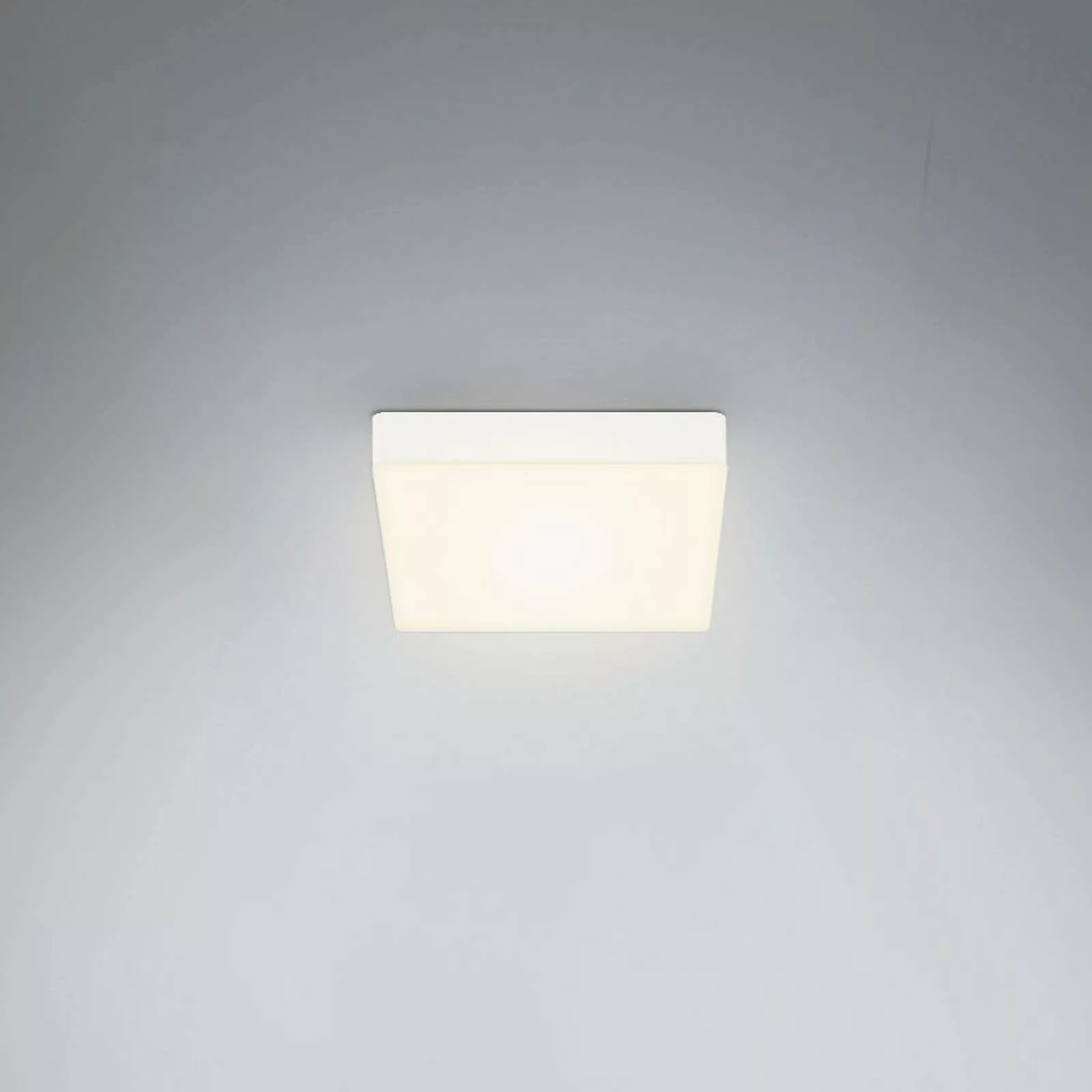 LED-Deckenleuchte Flame, 15,7 x 15,7 cm, weiß günstig online kaufen