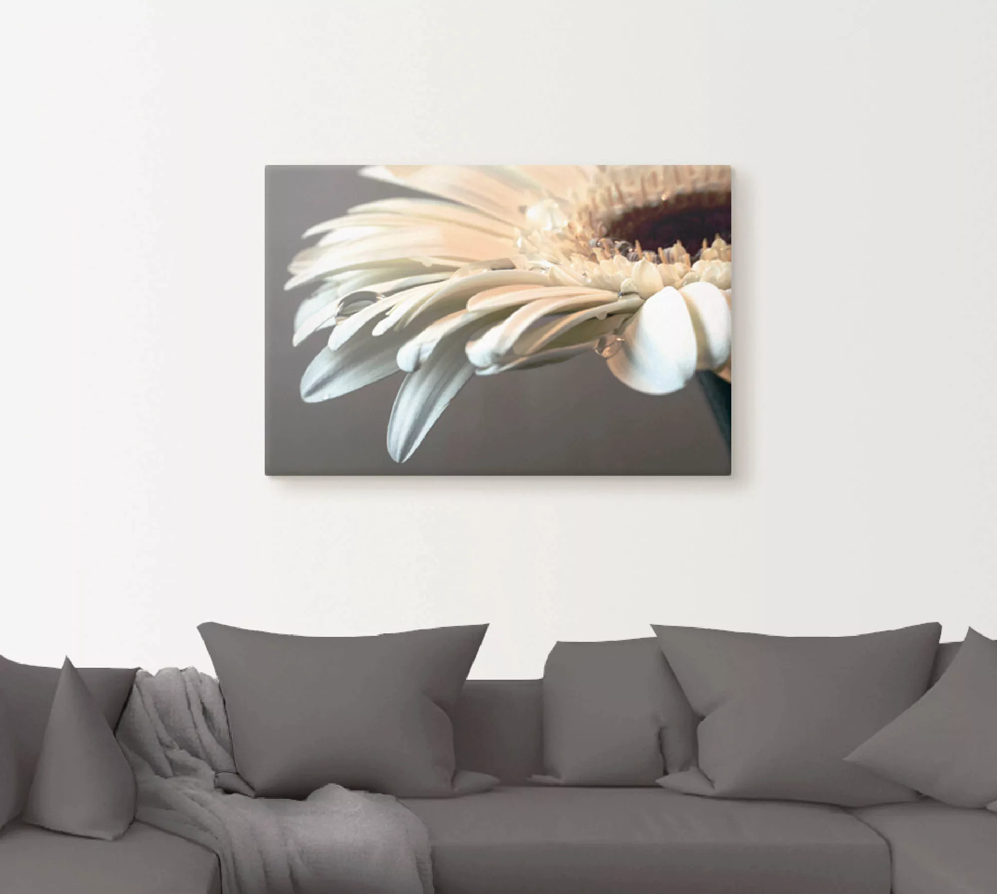 Artland Wandbild "Blüte einer Gerbera", Blumen, (1 St.), als Leinwandbild, günstig online kaufen