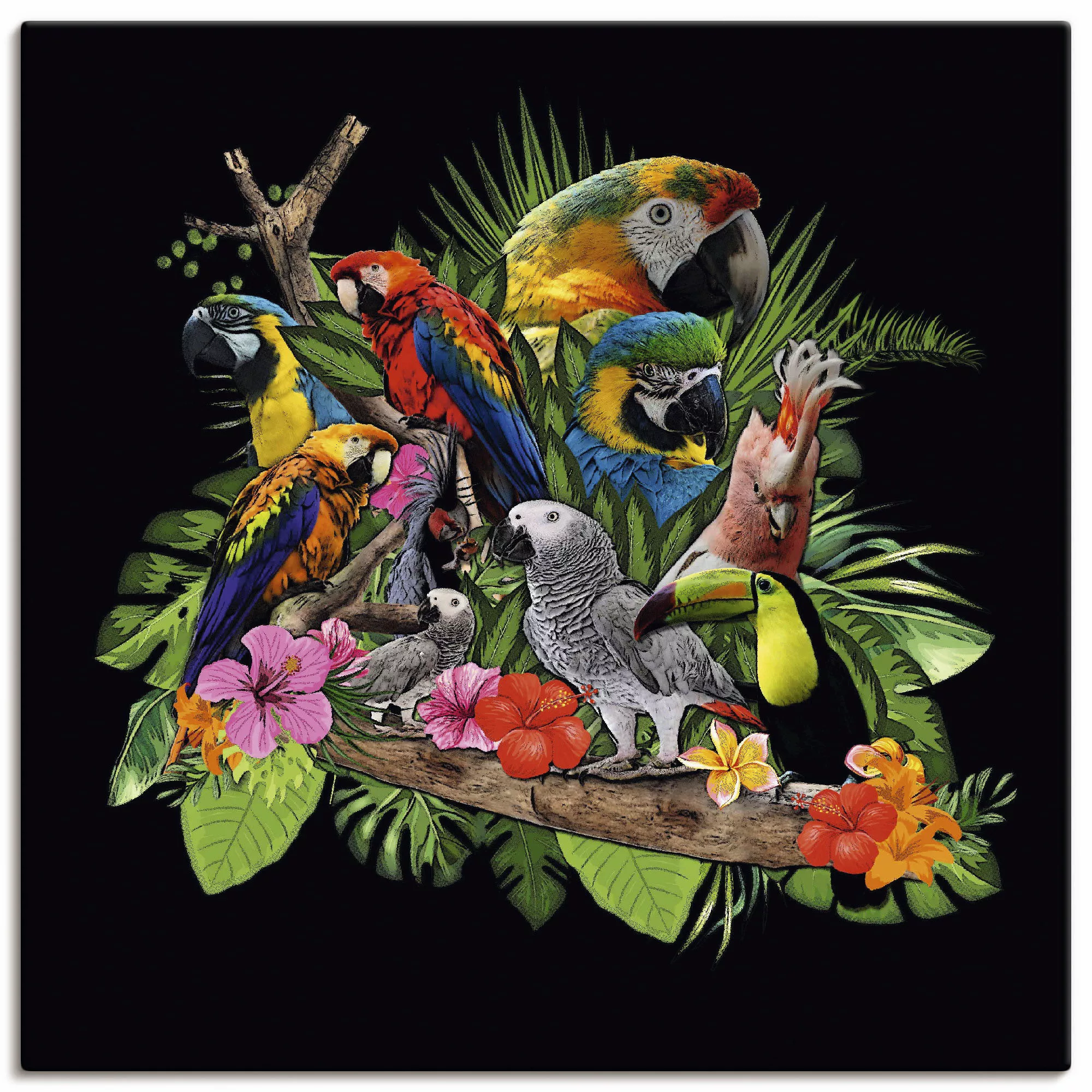 Artland Wandbild "Papageien Graupapagei Kakadu Dschungel", Vögel, (1 St.) günstig online kaufen