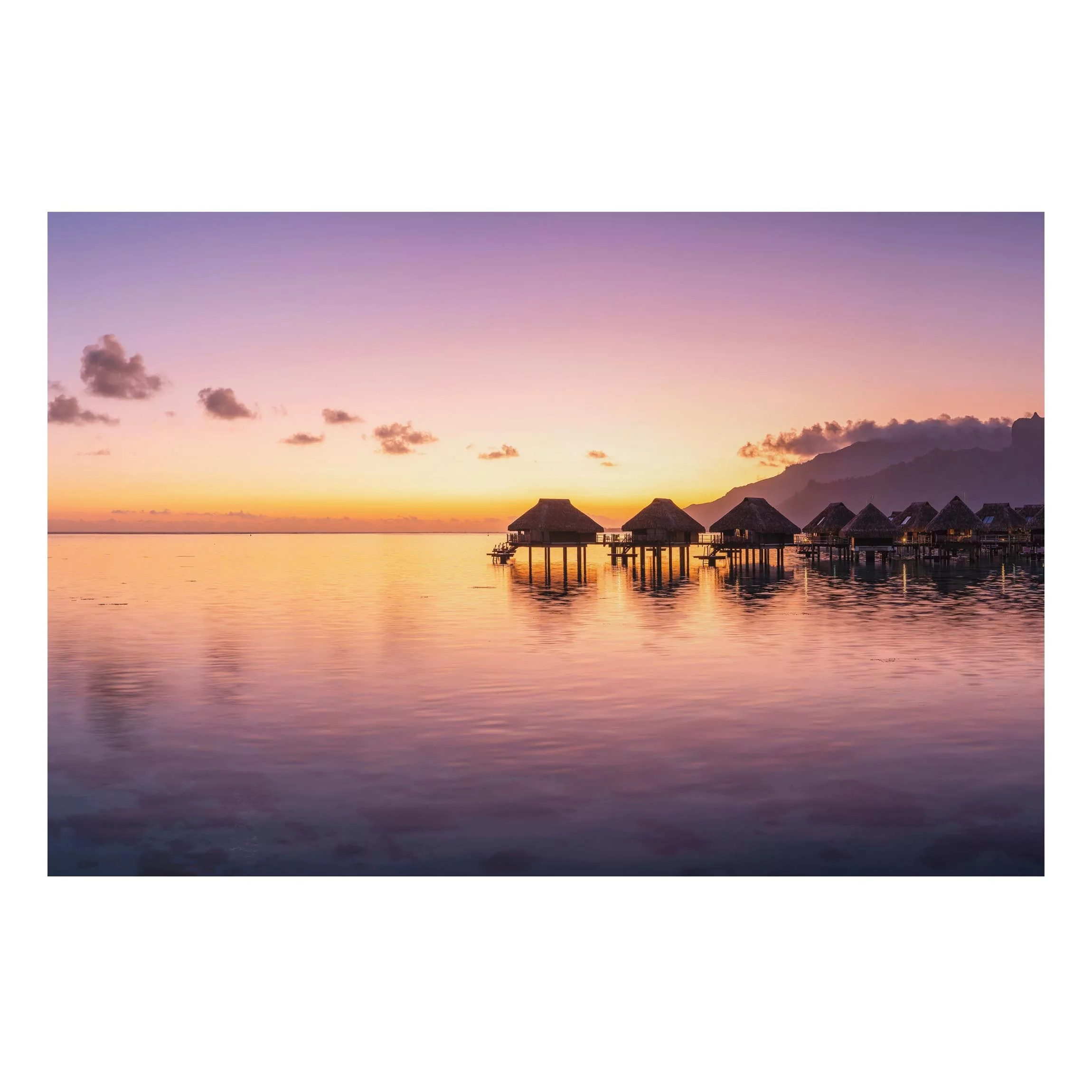 Alu-Dibond Bild Sunset Dream günstig online kaufen