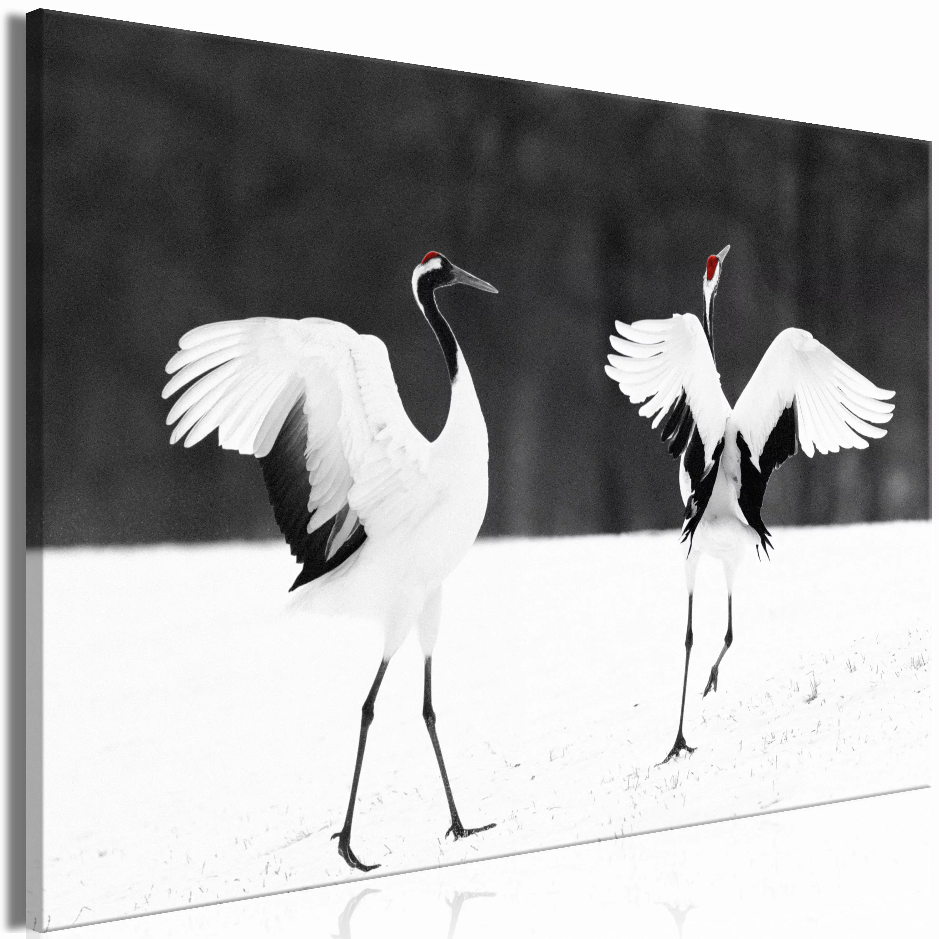 Wandbild - Dancing Cranes (1 Part) Wide günstig online kaufen