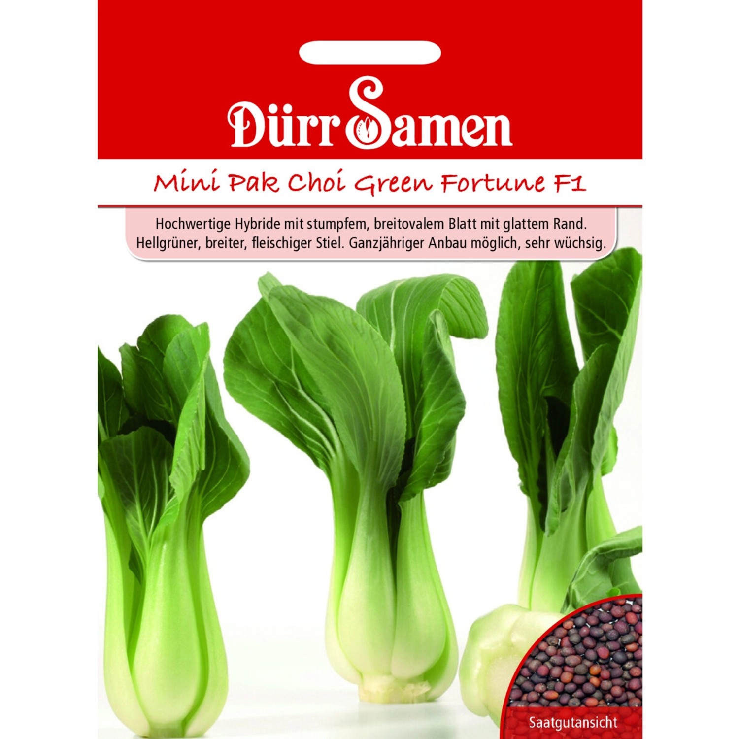 Dürr Samen Asia-Salat Green Fortune F1 Saatgut günstig online kaufen