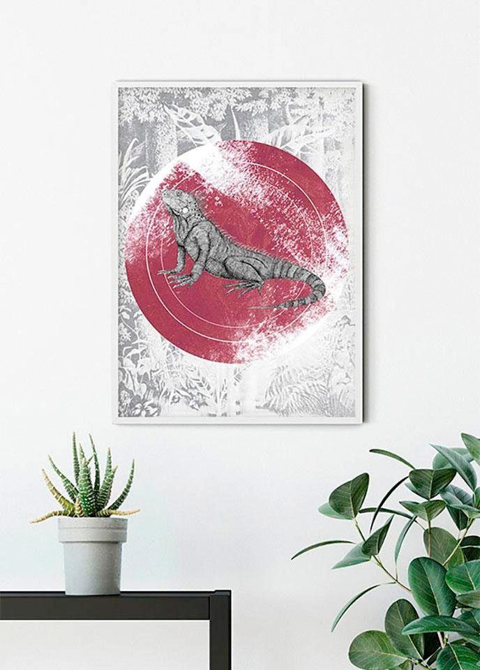 Komar Bild "Iguana Circle", Tiere, (1 St.), Wandbild zur Dekoration - ohne günstig online kaufen