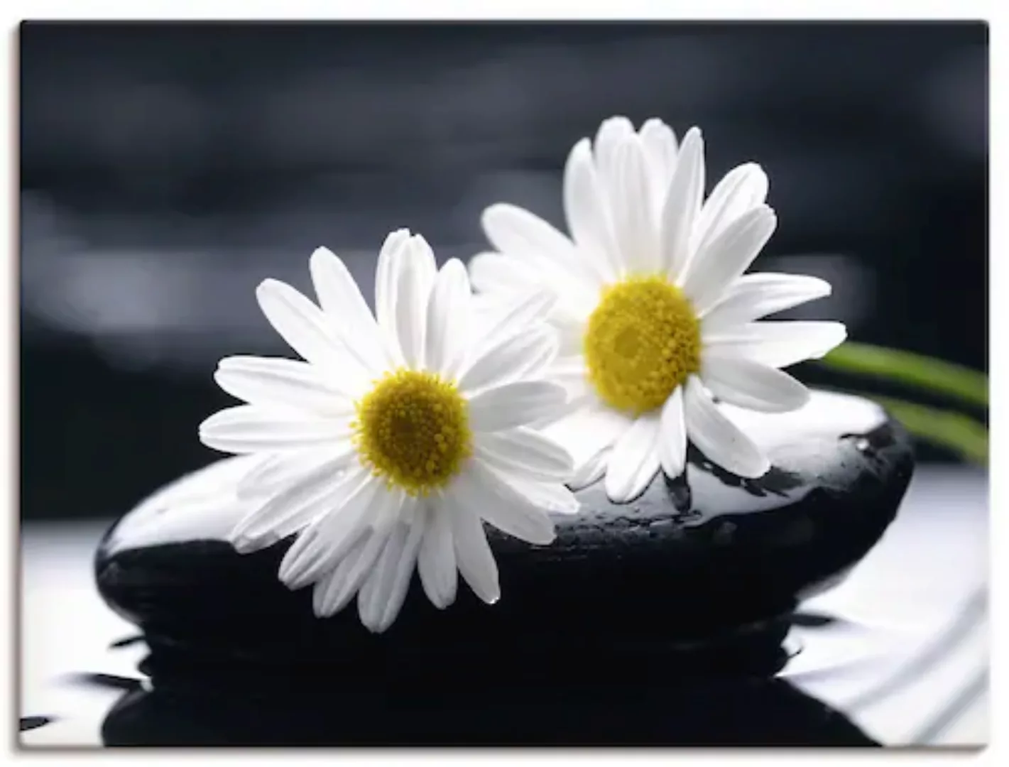 Artland Leinwandbild "Zwei Gerbera auf einem Zenstein", Blumen, (1 St.) günstig online kaufen