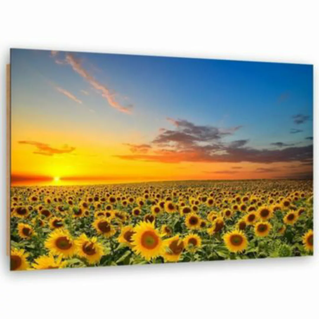 FEEBY® Kunst Sonnenblumen Leinwandbilder bunt Gr. 90 x 60 günstig online kaufen