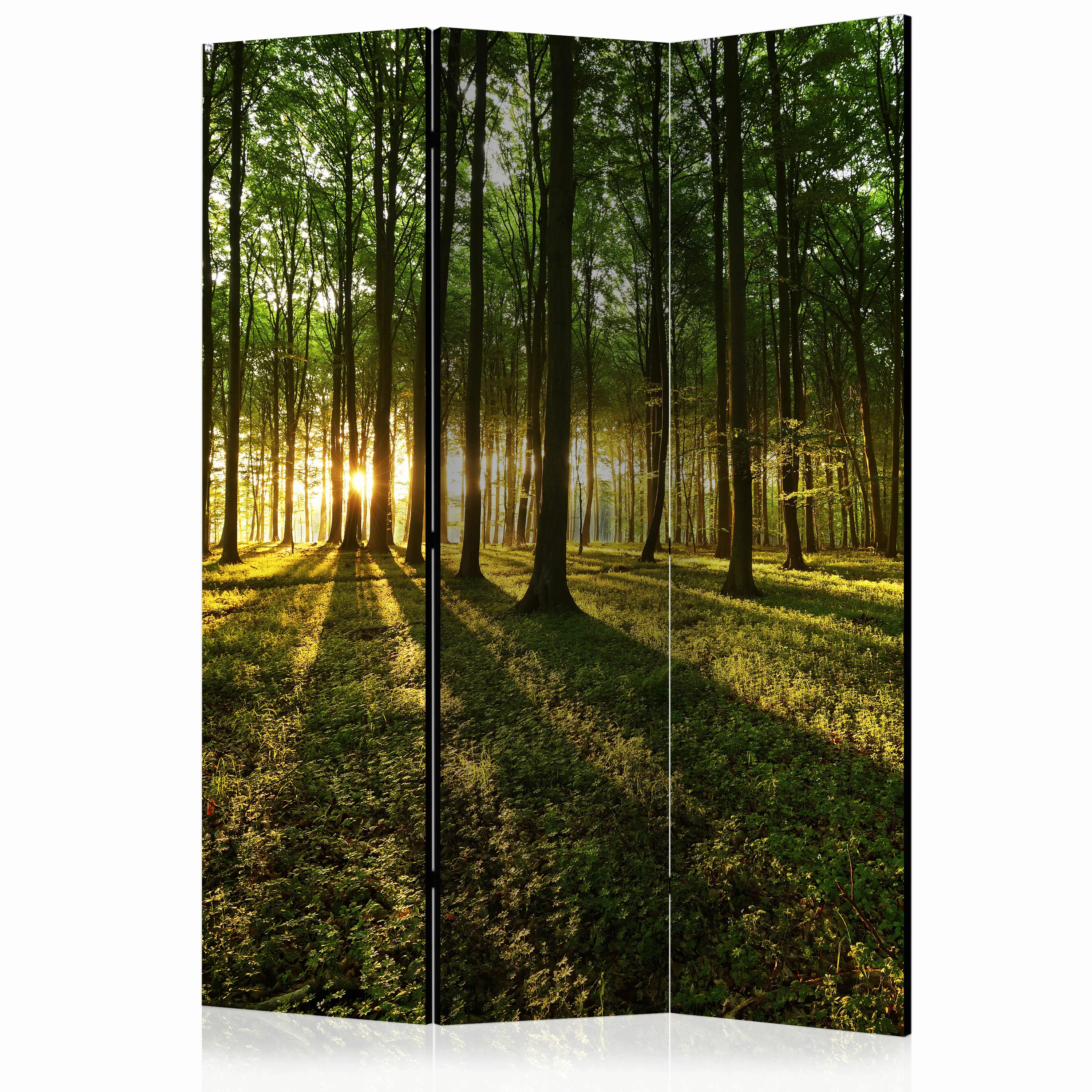 3-teiliges Paravent - Morning In The Forest [room Dividers] günstig online kaufen