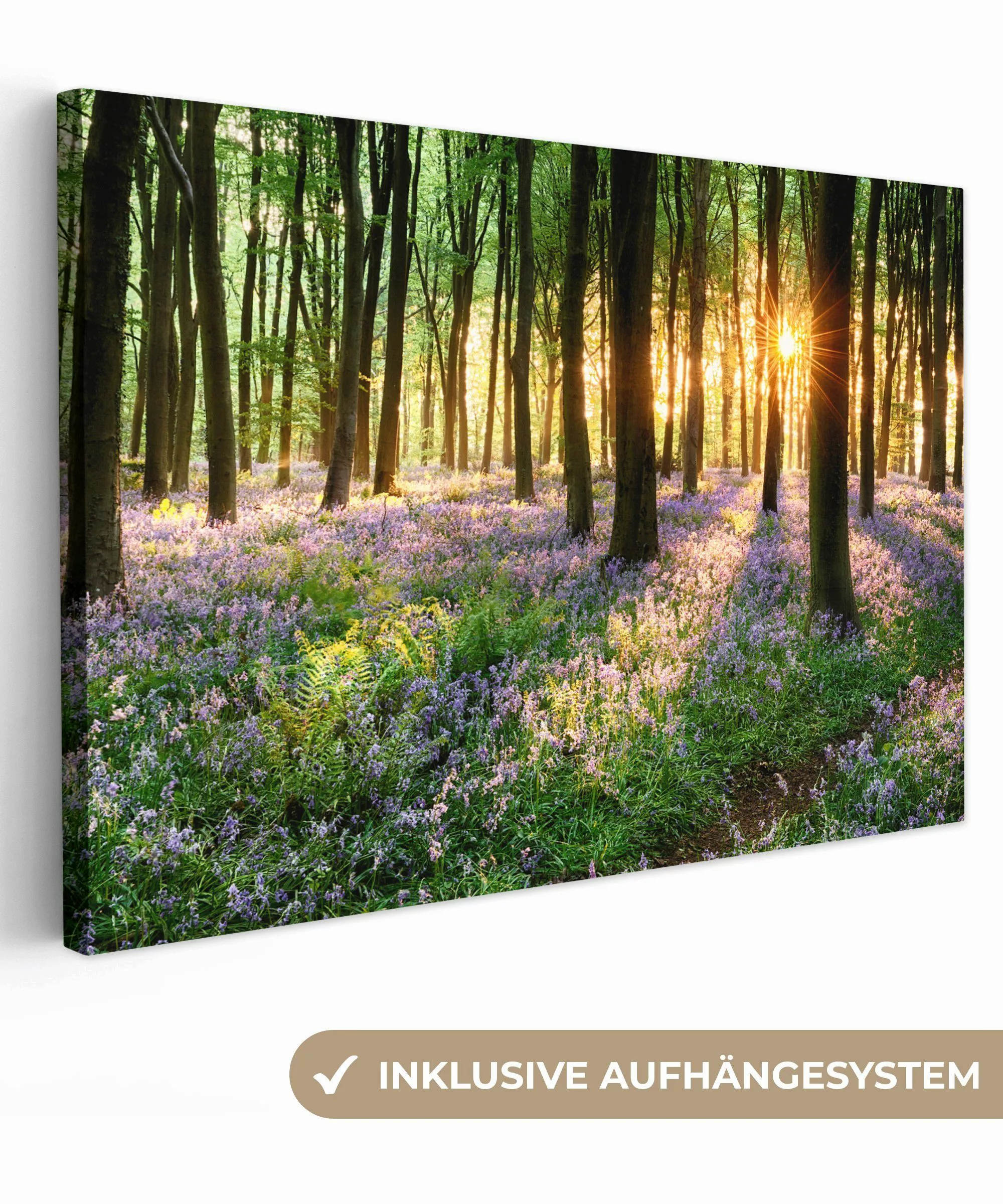 OneMillionCanvasses® Leinwandbild Wald - Blumen - günstig online kaufen