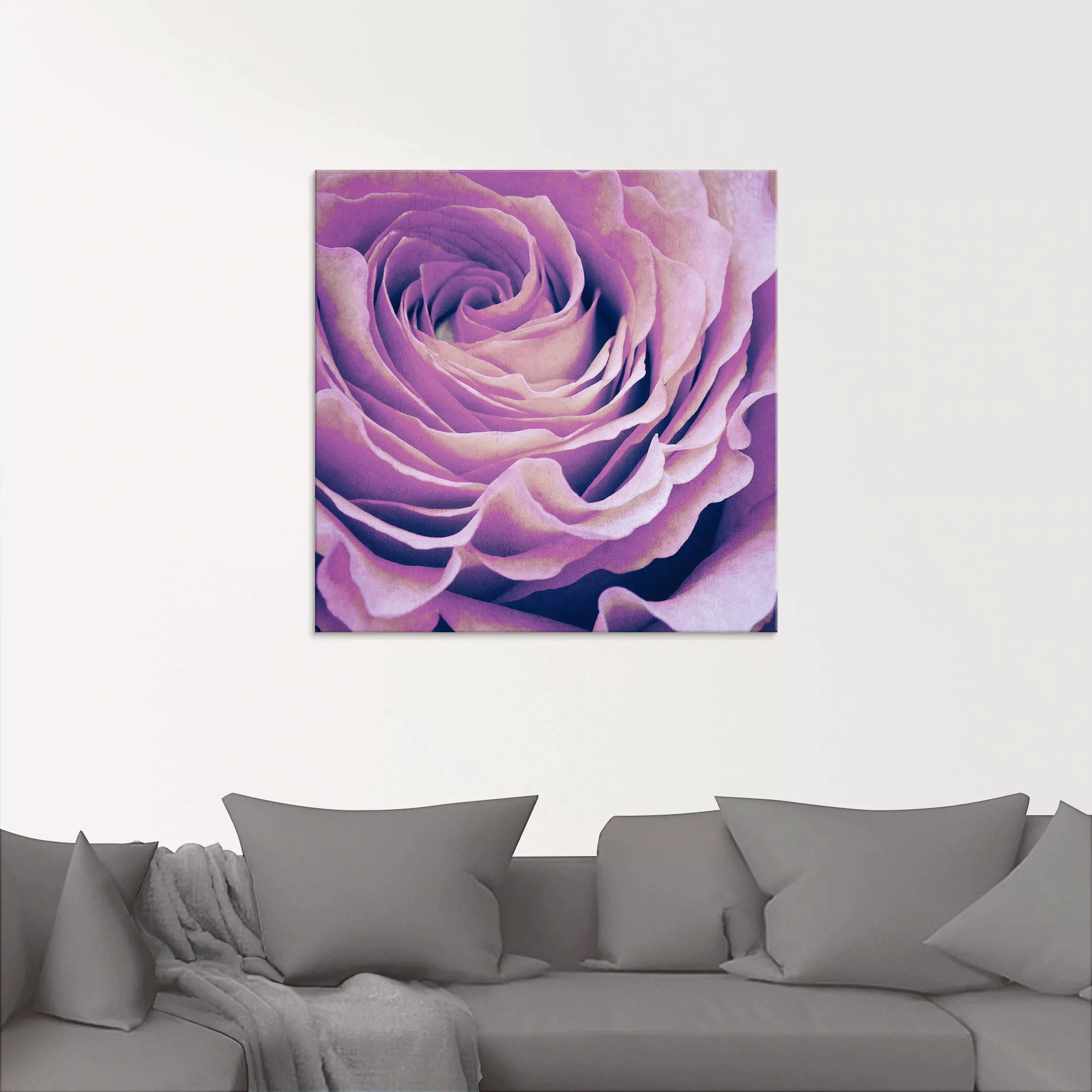 Artland Glasbild "Lila Rose", Blumen, (1 St.), in verschiedenen Größen günstig online kaufen