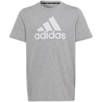 adidas  T-Shirts & Poloshirts HR6379 günstig online kaufen