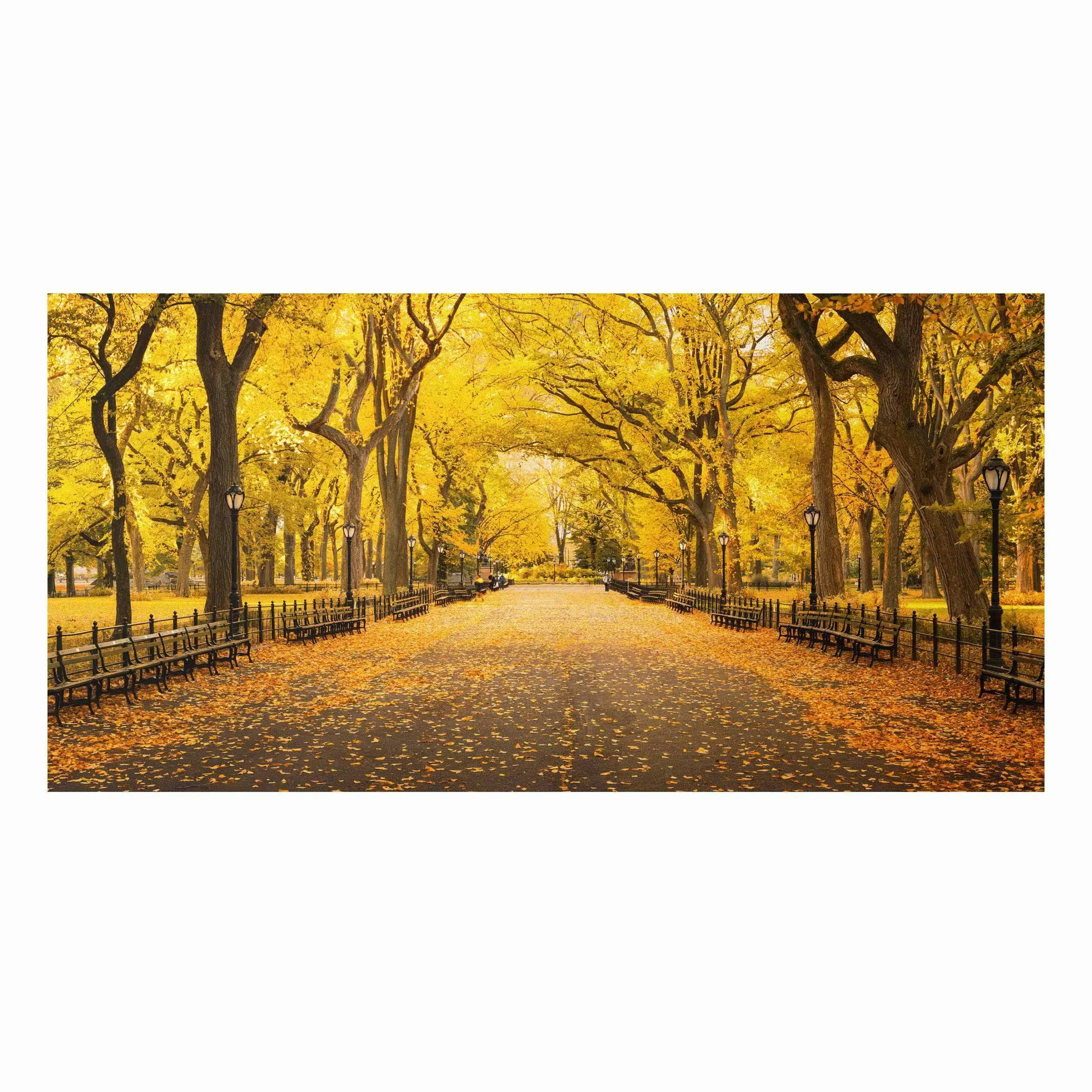 Alu-Dibond Bild Herbst im Central Park günstig online kaufen