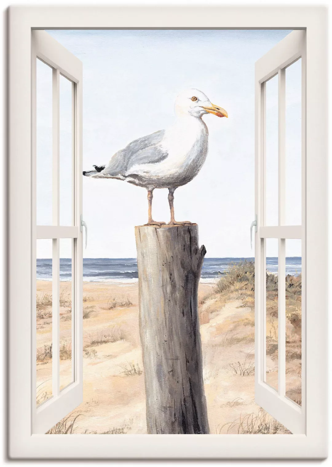 Artland Wandbild "Möwe Fensterblick", Vogelbilder, (1 St.) günstig online kaufen