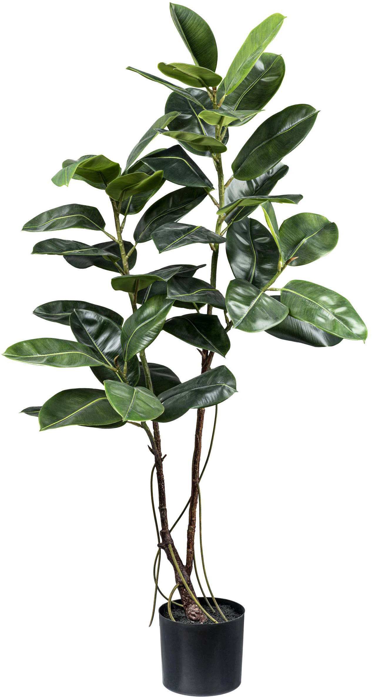 Creativ green Kunstbaum "Ficus elastica", mit Luftwurzeln günstig online kaufen