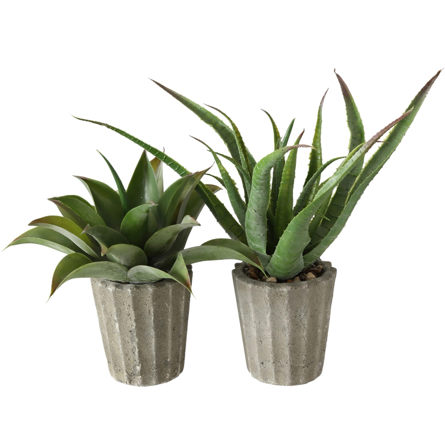 Boltze Topfpflanze Aloe Vera 2-fach Sortiert 50 cm x 15 cm x 50 cm Grün günstig online kaufen