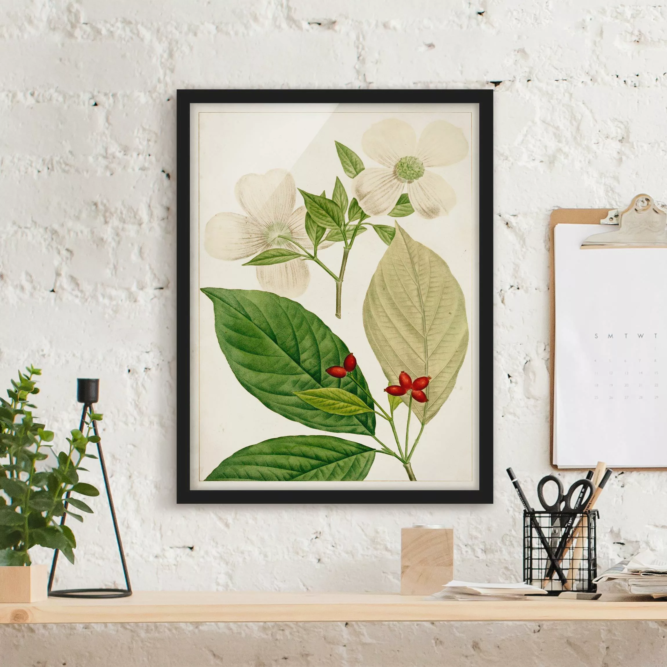 Bild mit Rahmen - Hochformat Tableau Blatt Blüte Frucht III günstig online kaufen