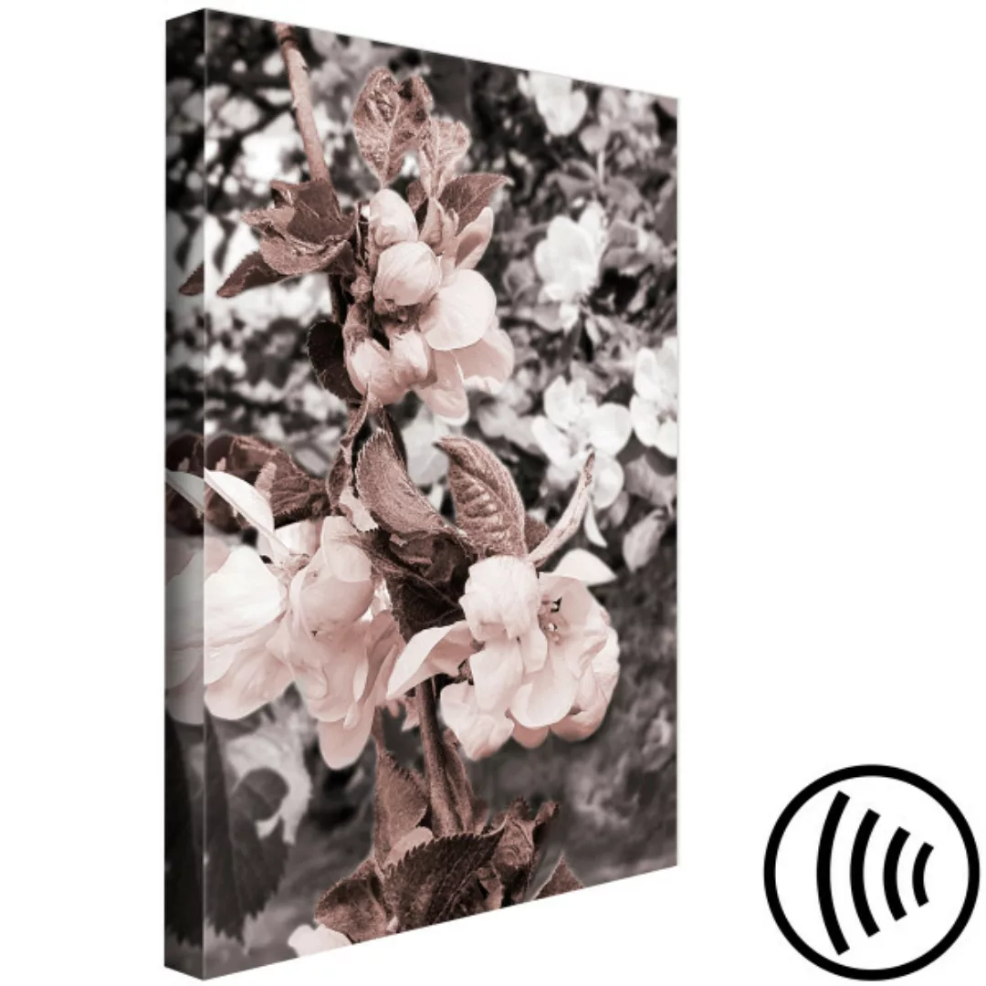 Leinwandbild Zweig mit Blättern und weißen Blumen - Baum in Grau und Bronze günstig online kaufen