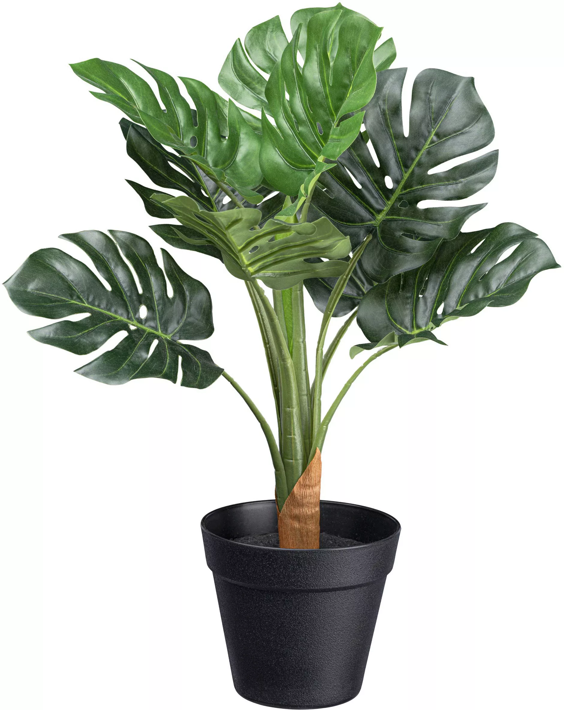 Creativ green Künstliche Zimmerpflanze "Splitphilodendron", mit 10 Blättern günstig online kaufen