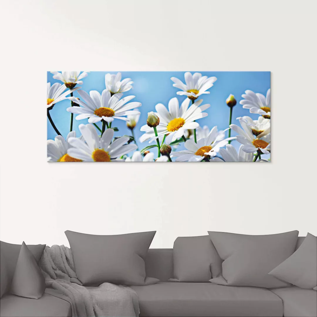 Artland Glasbild "Blumen - Margeriten", Blumen, (1 St.), in verschiedenen G günstig online kaufen