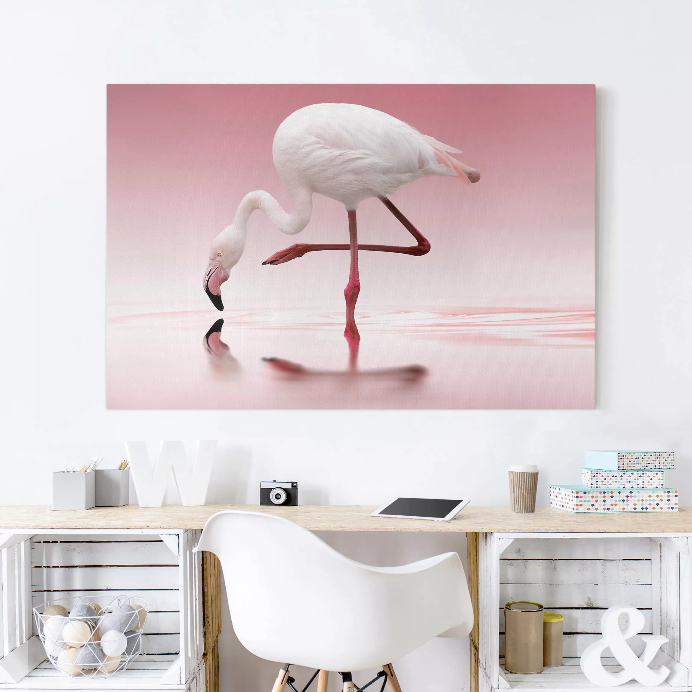 Leinwandbild Tiere - Querformat Flamingo Dance günstig online kaufen