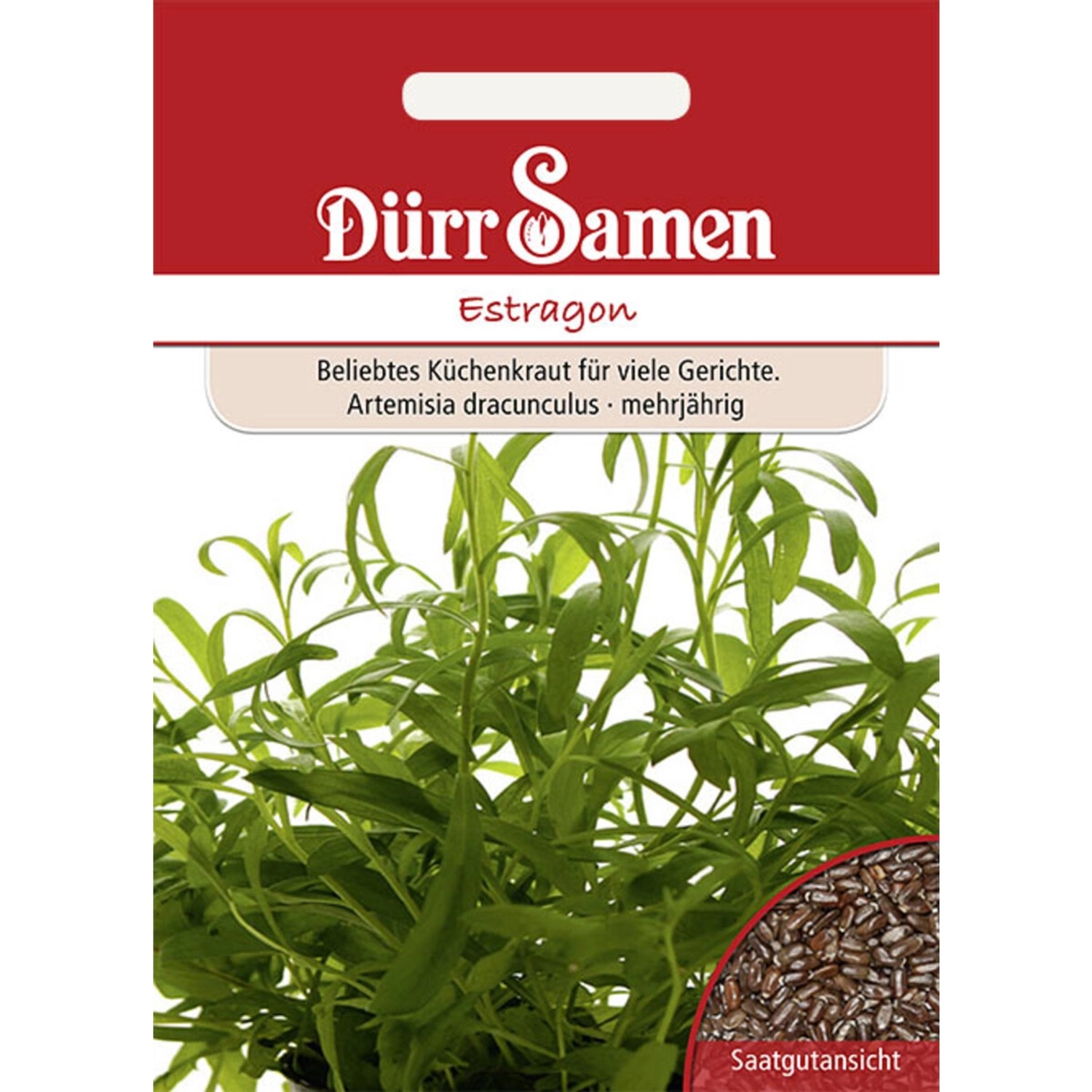 Dürr Samen Estragon Saatgut günstig online kaufen