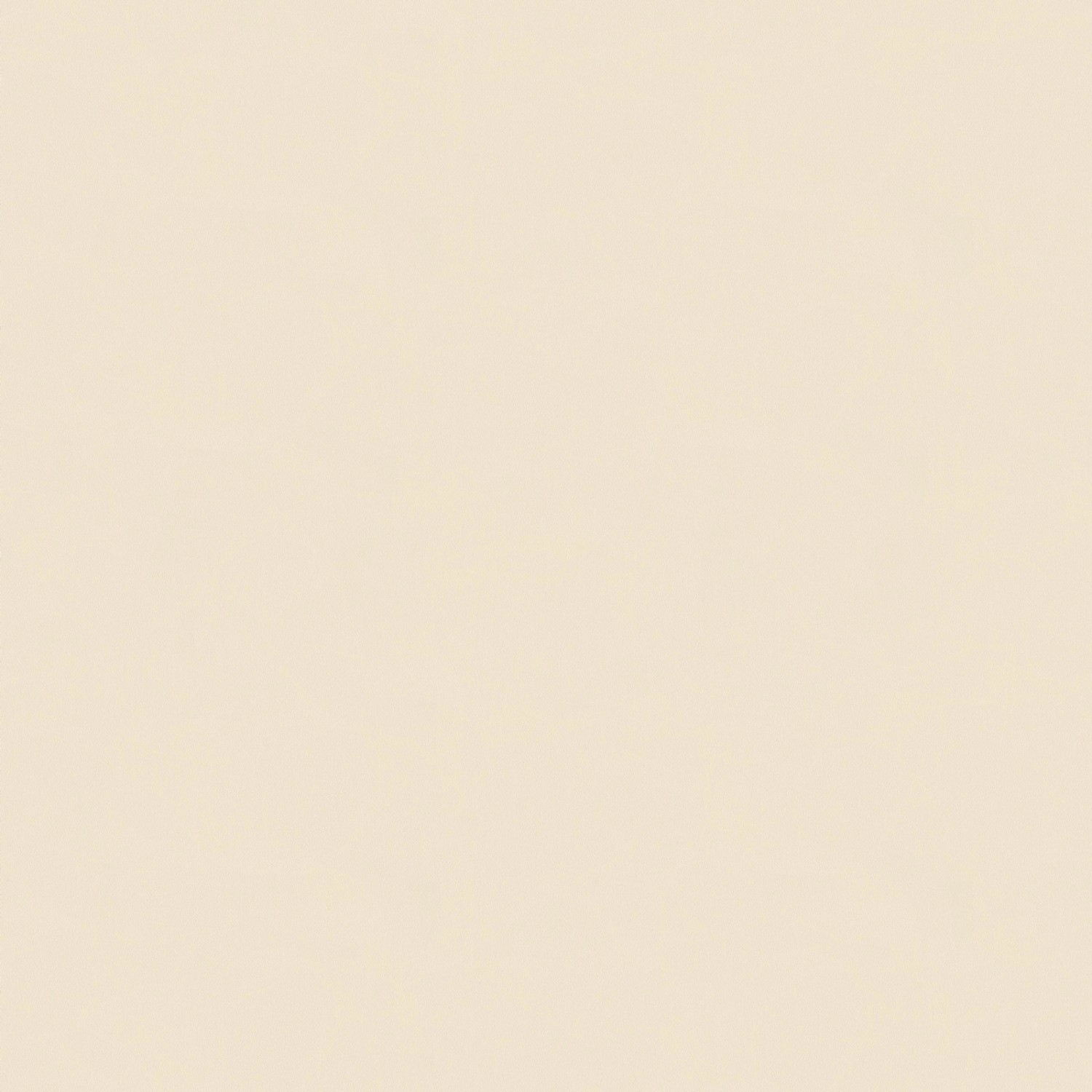 Bricoflor Helle Tapete in Creme Weiß Uni Wandtapete Schlicht Ideal für Wohn günstig online kaufen
