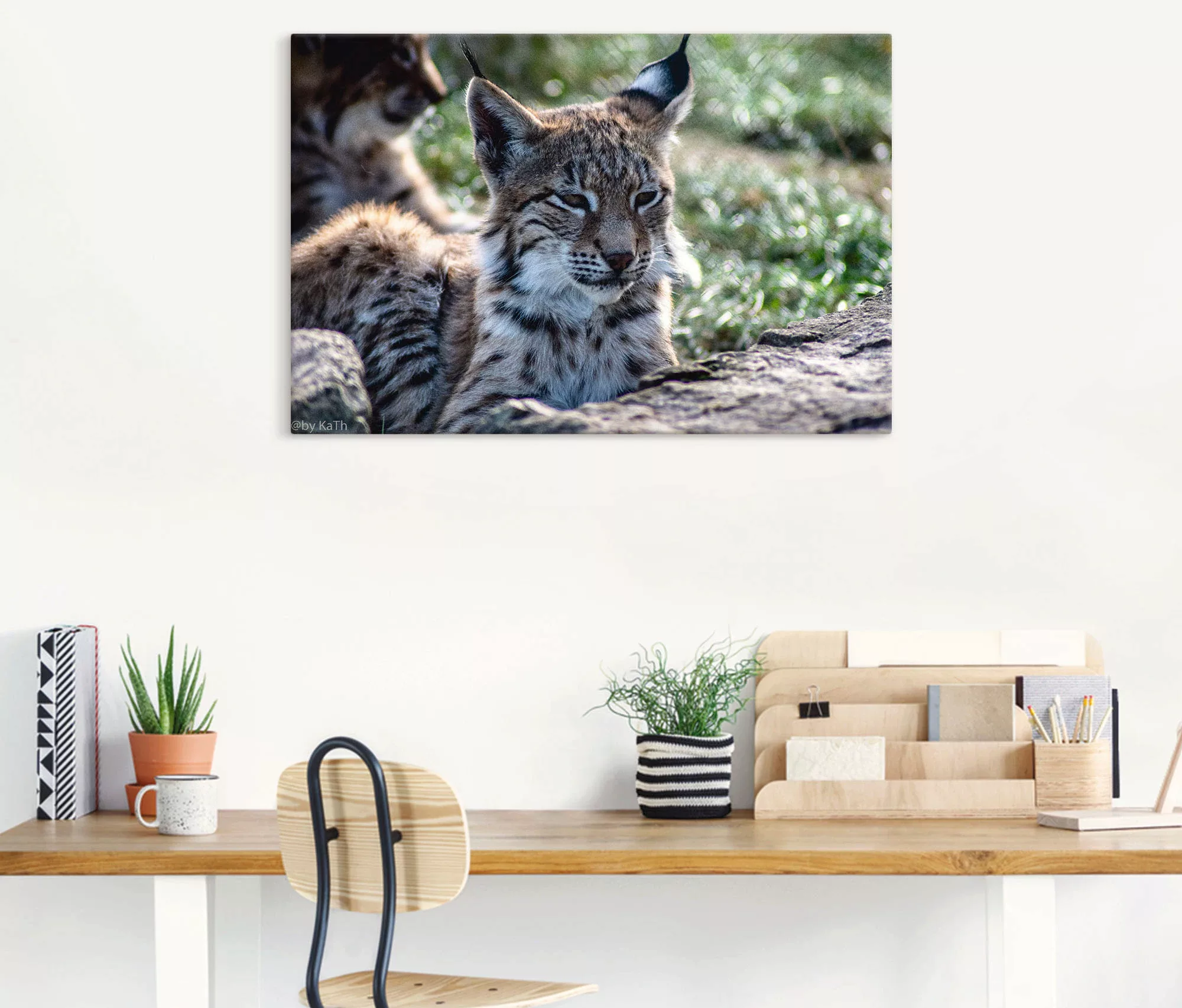 Artland Leinwandbild »Luchs«, Wildtiere, (1 St.), auf Keilrahmen gespannt günstig online kaufen