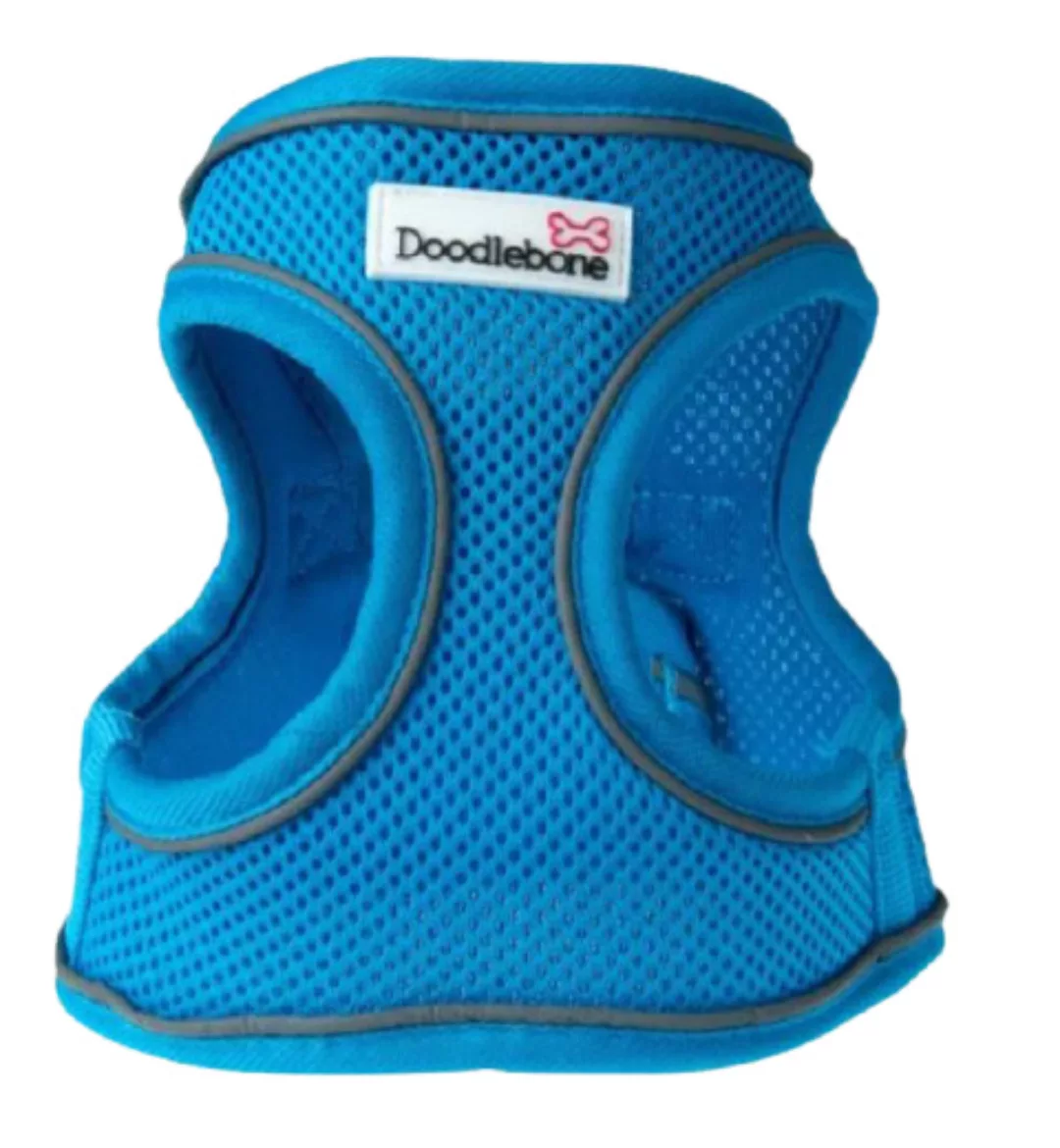 Hundegeschirr Snappy 39-45 Cm Netz Hellblau günstig online kaufen