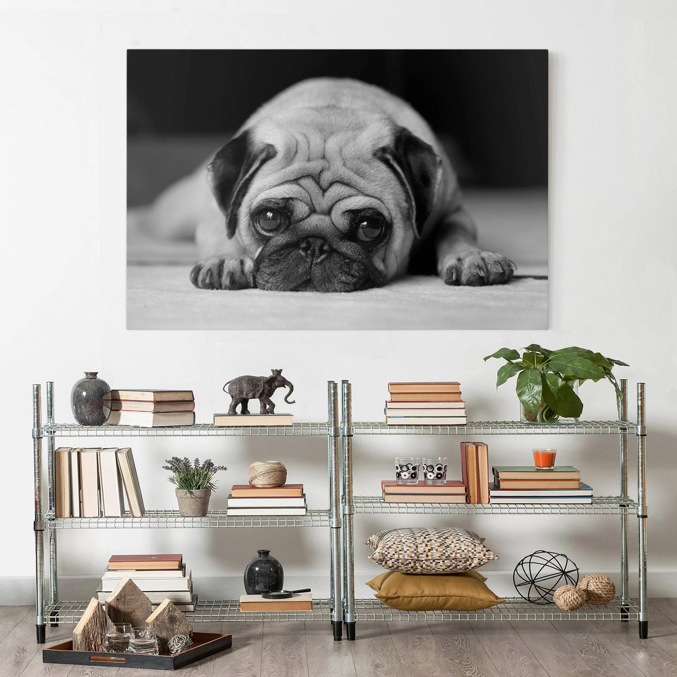 Leinwandbild Tiere - Querformat Pug Loves You II günstig online kaufen