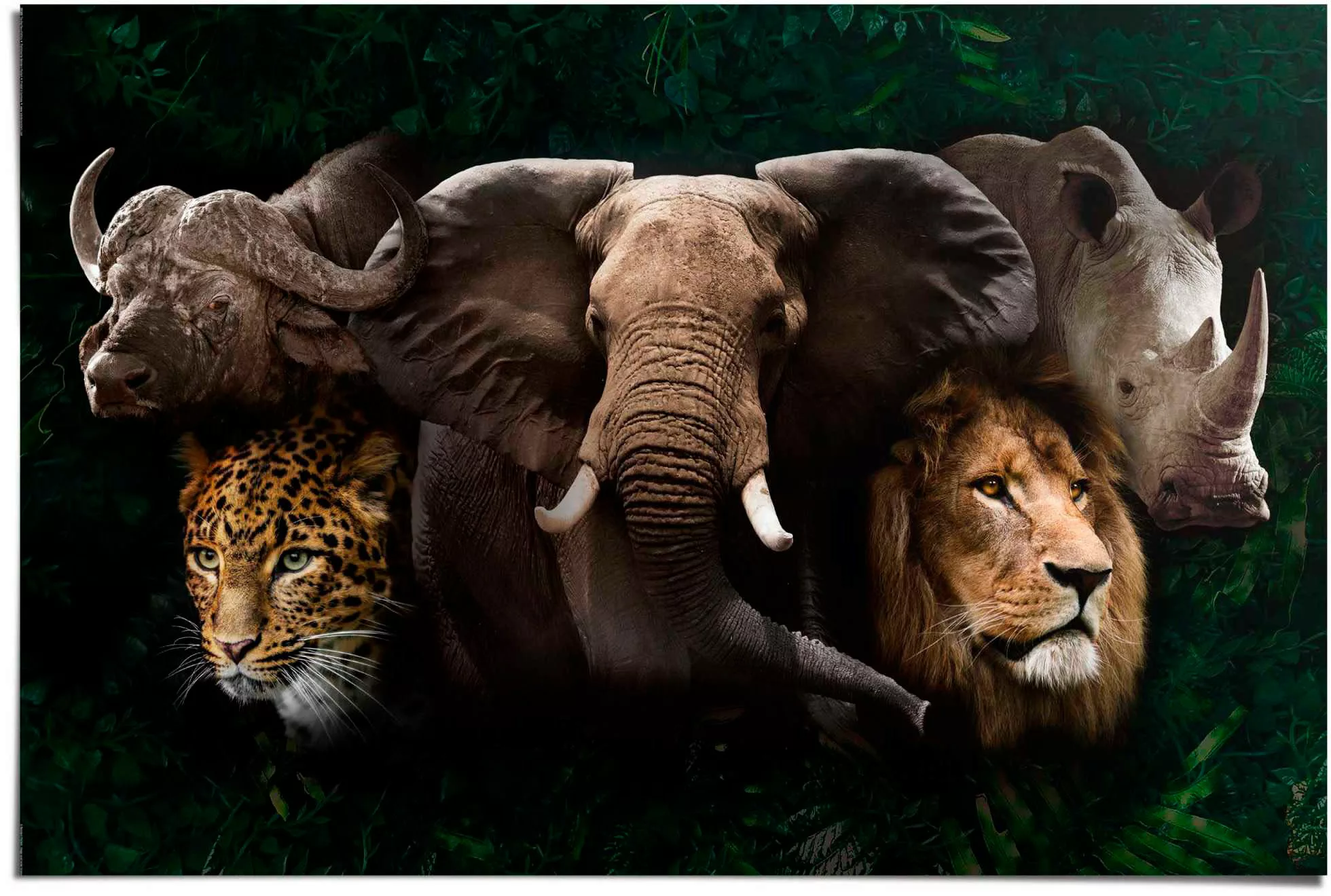 Reinders Poster "The big five" günstig online kaufen