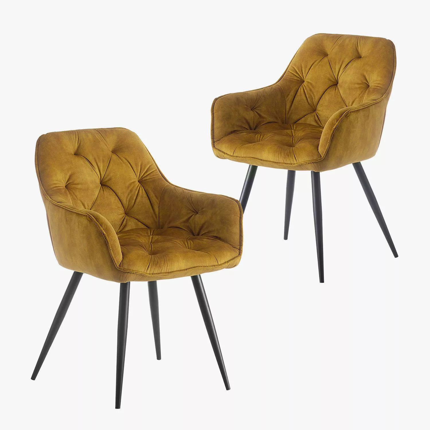 B&D home Polsterstuhl DIETER (2er Set, günstig online kaufen