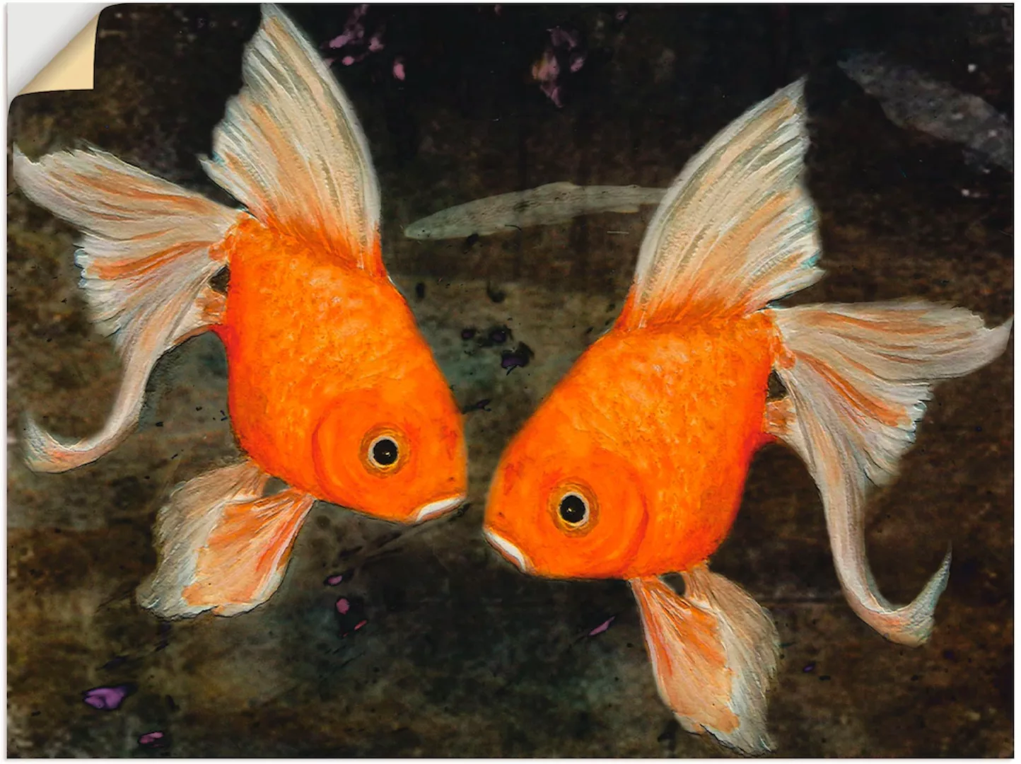 Artland Wandbild "Turtelfische", Wassertiere, (1 St.), als Leinwandbild, Po günstig online kaufen
