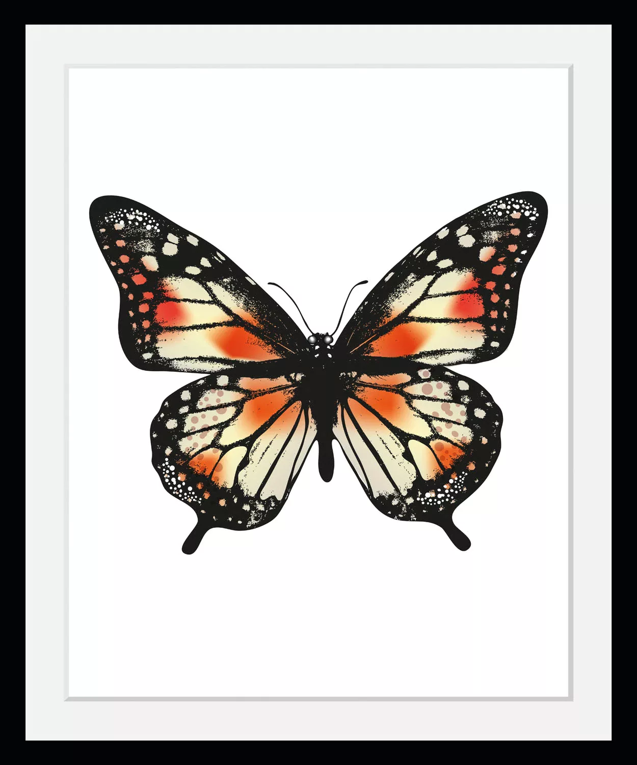 queence Bild »Anastasia«, Schmetterlinge, (1 St.) günstig online kaufen