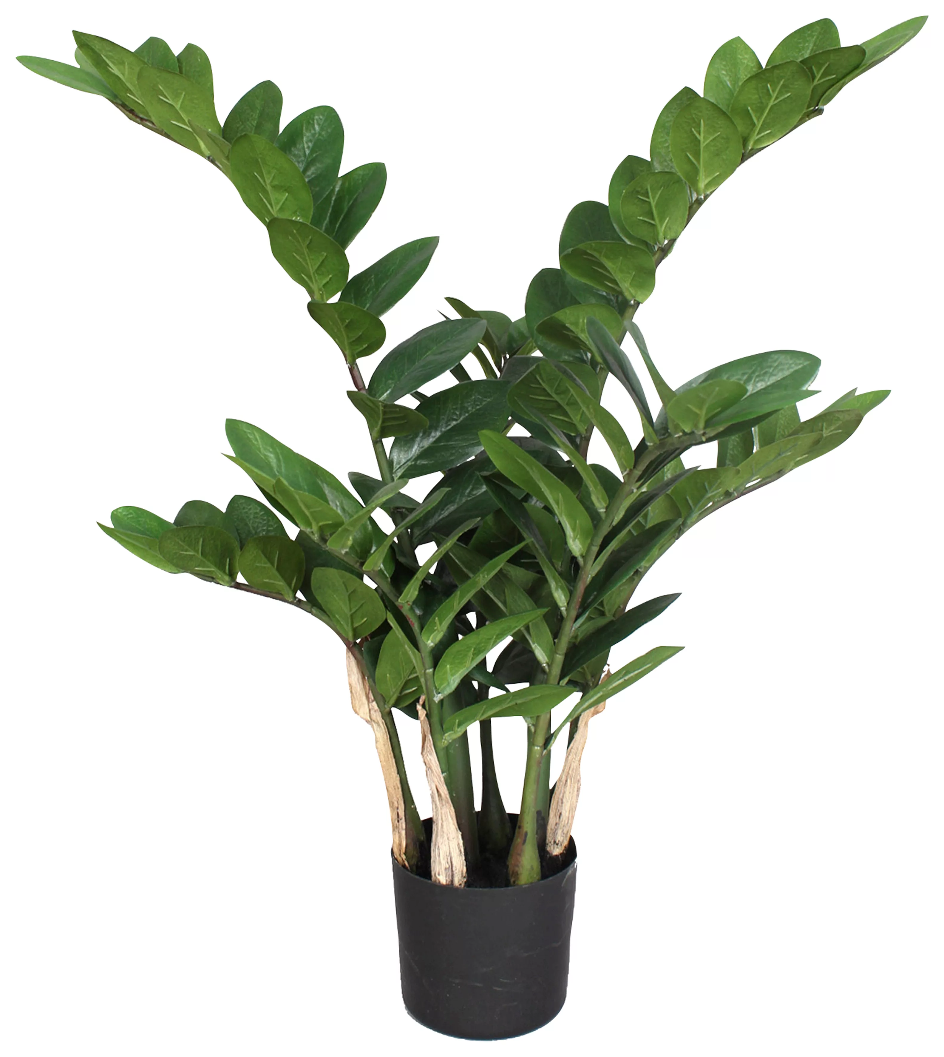 Creativ green Kunstpflanze "Zamifolia" günstig online kaufen