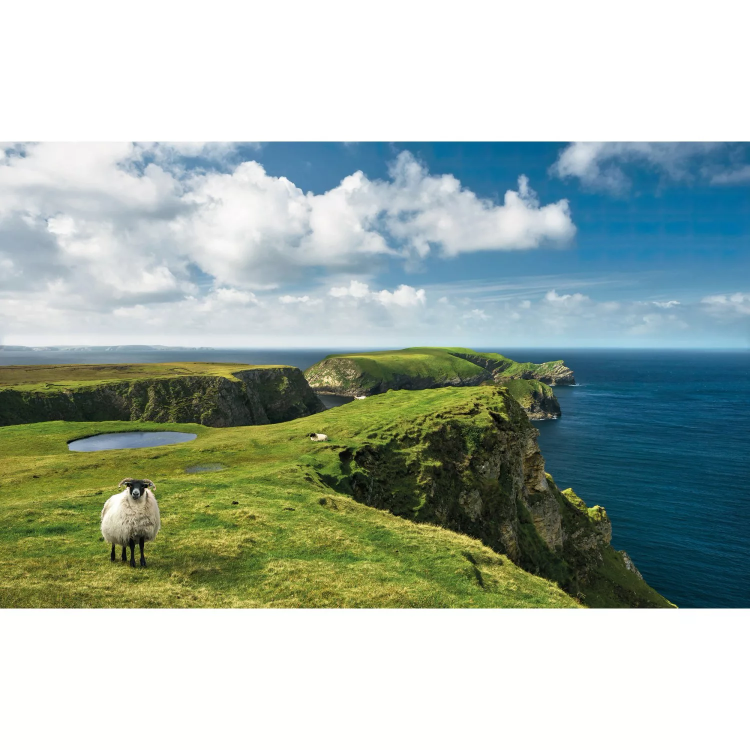 Vlies Fototapete Green Ireland 450x280 cm günstig online kaufen