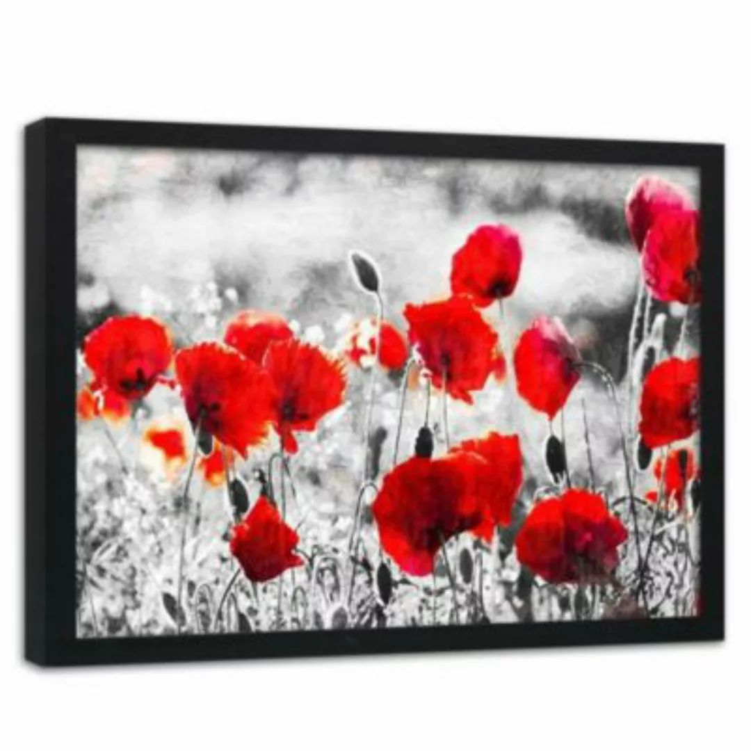 FEEBY® Kunst Mohnblumen 2 Leinwandbilder bunt Gr. 60 x 40 günstig online kaufen