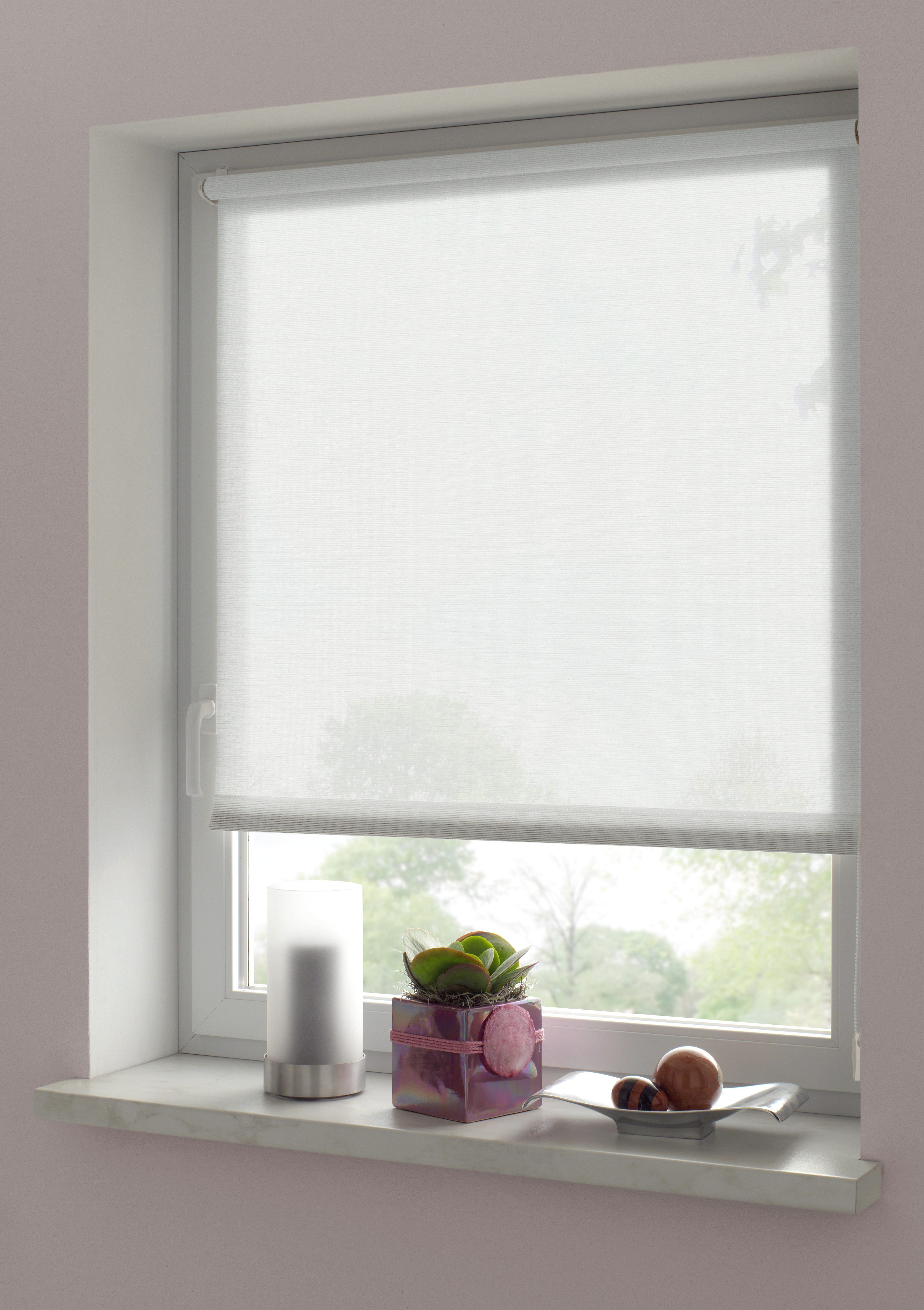 Seitenzugrollo EASYFIX Rollo Natur, GARDINIA, Lichtschutz, günstig online kaufen