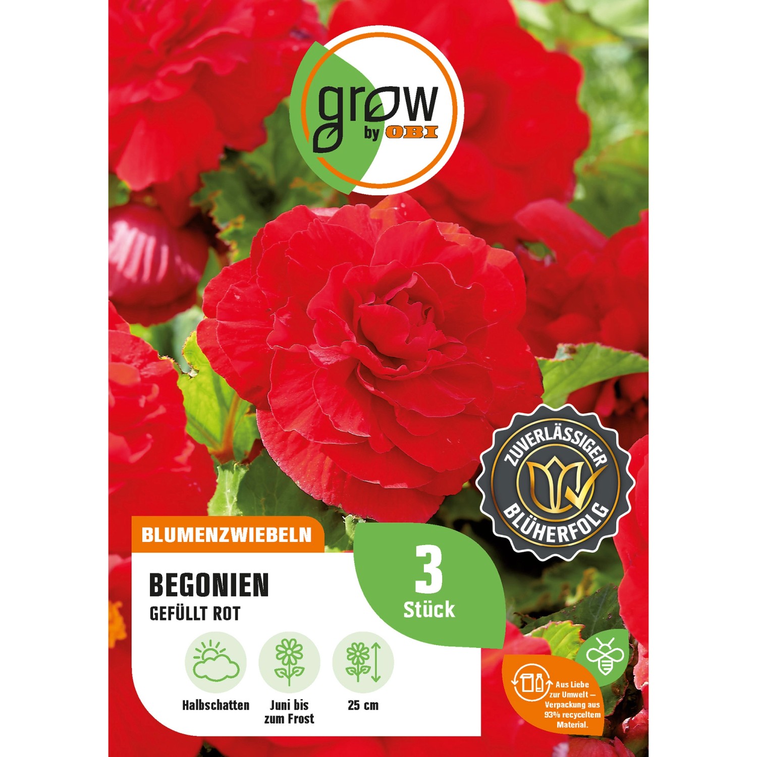 GROW by OBI Begonie Gefüllt Rot Höhe ca. 25 cm Begonia günstig online kaufen