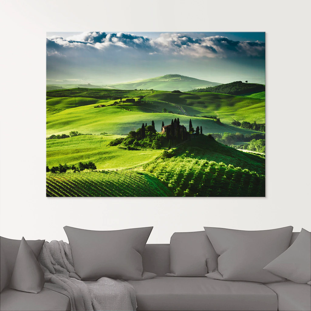 Artland Glasbild »Sonnenaufgang über einer Olivenfarm«, Felder, (1 St.), in günstig online kaufen