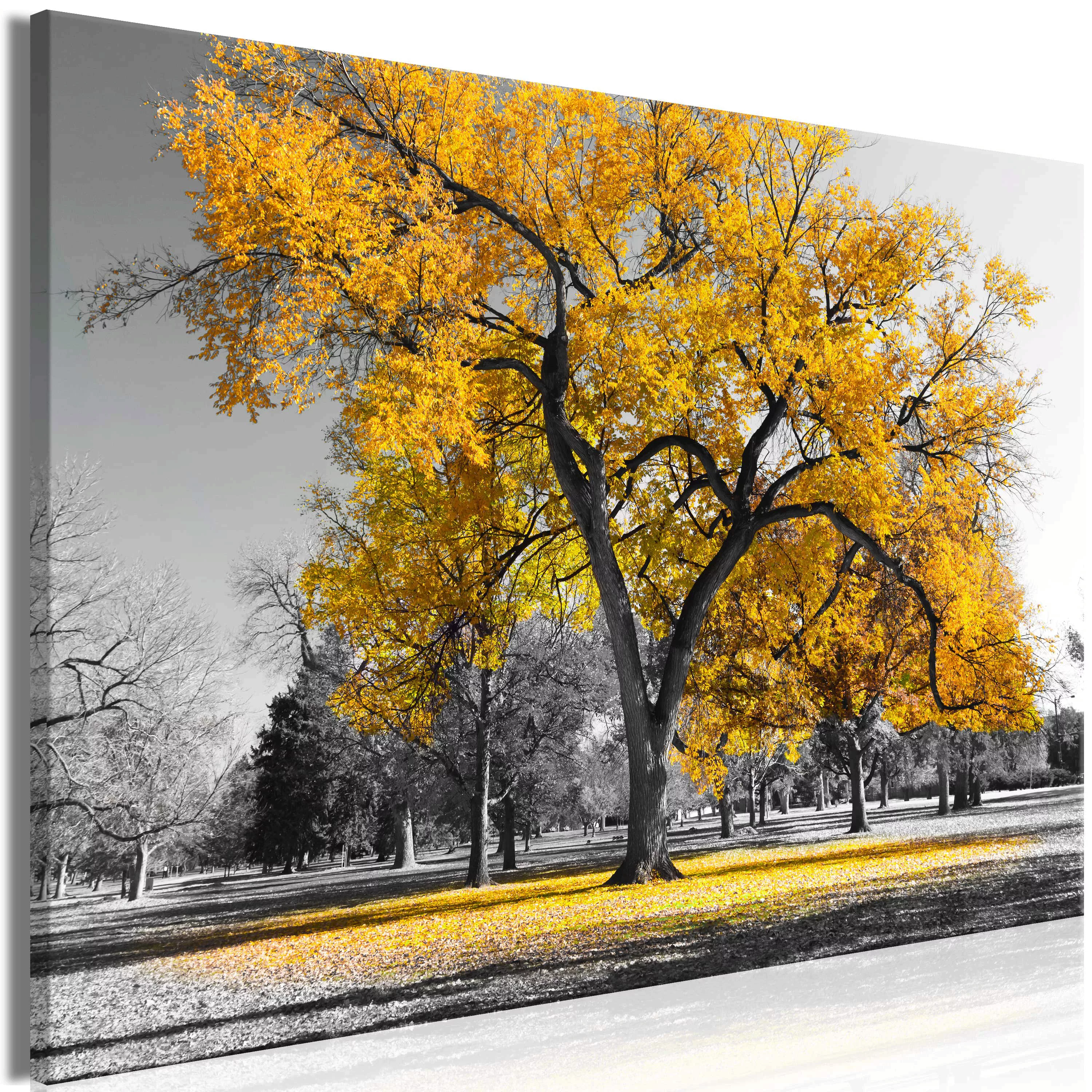 Wandbild - Autumn in the Park (1 Part) Wide Gold günstig online kaufen