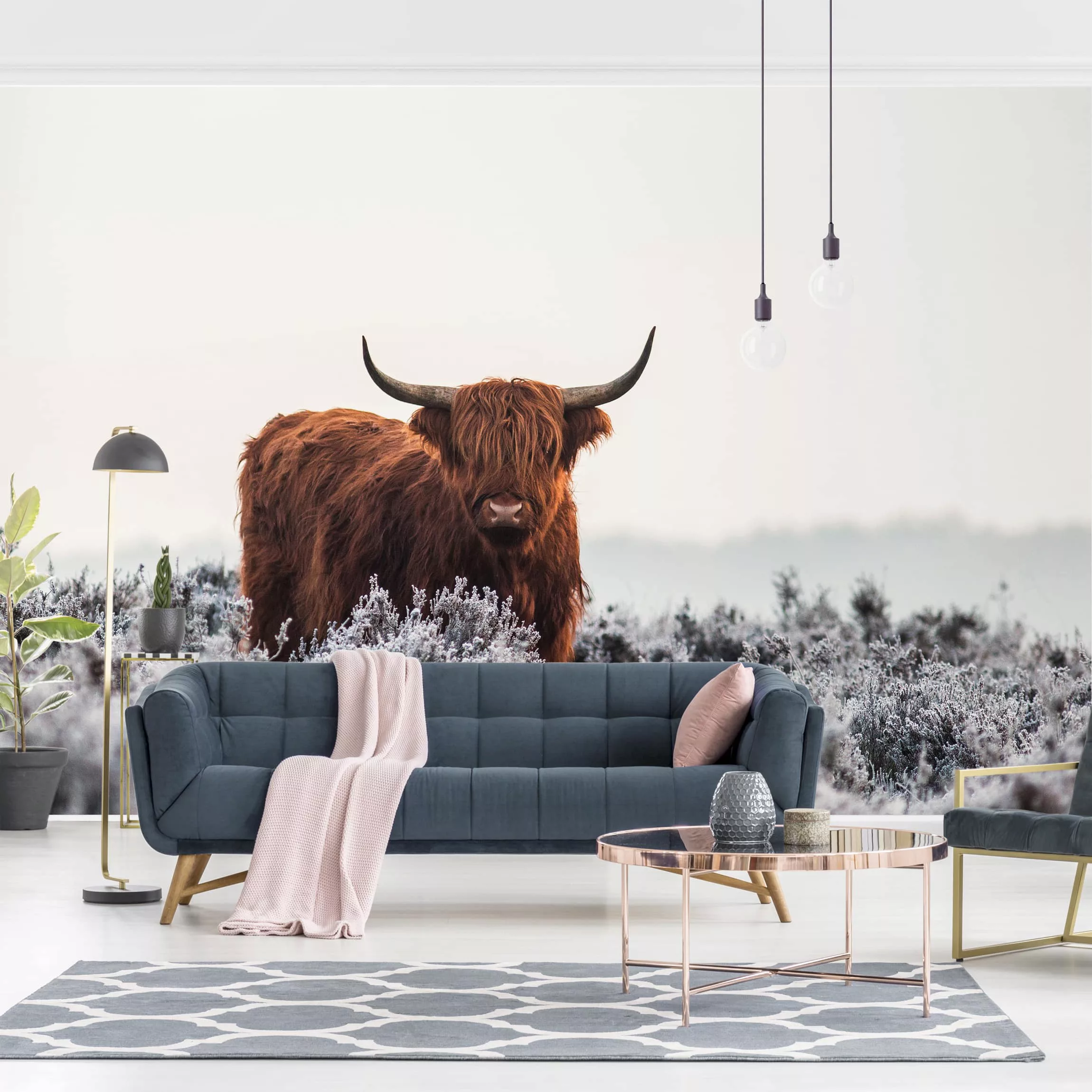 Fototapete Bison in den Highlands günstig online kaufen