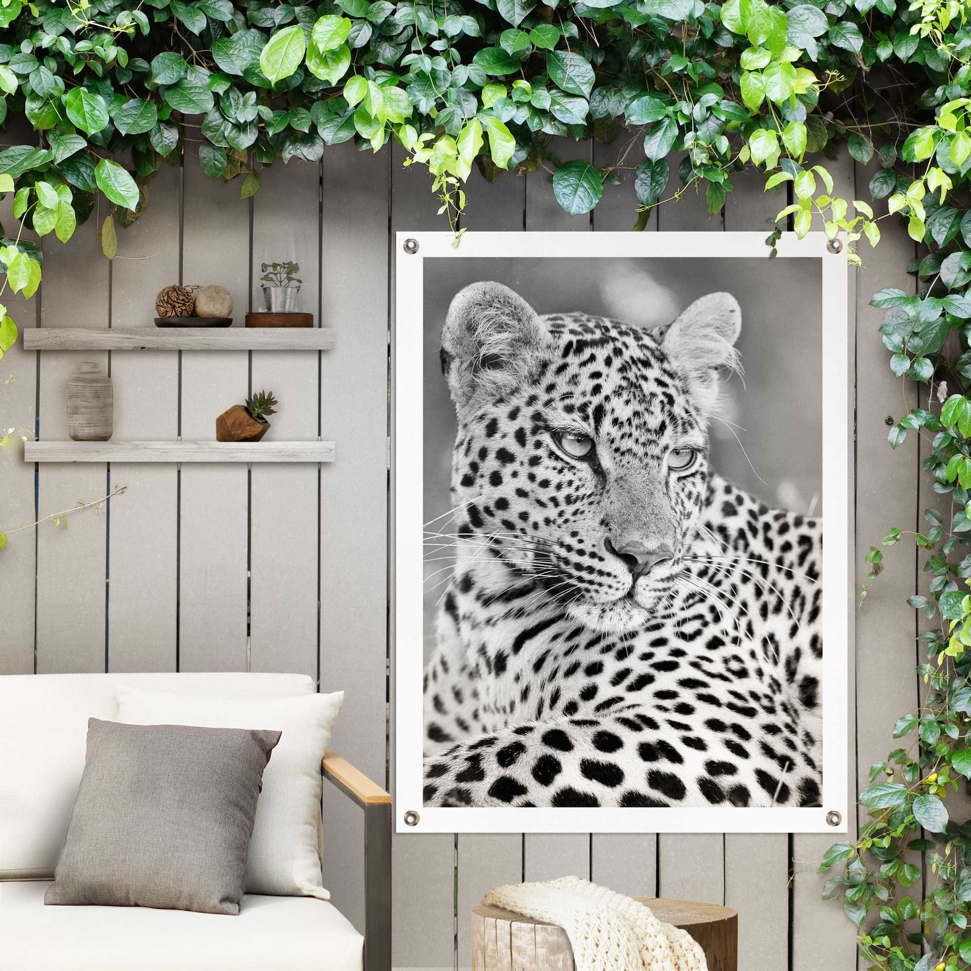 Reinders Poster "Leopard", Outdoor für Garten oder Balkon günstig online kaufen