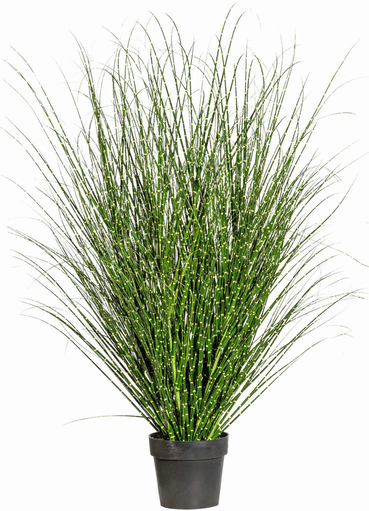 Kunstgras Miscanthus Zebrinus, Creativ green, Höhe günstig online kaufen