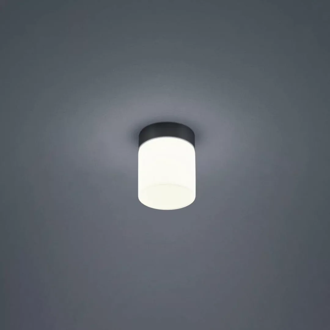 Helestra Keto LED-Deckenleuchte, Zylinder, schwarz günstig online kaufen