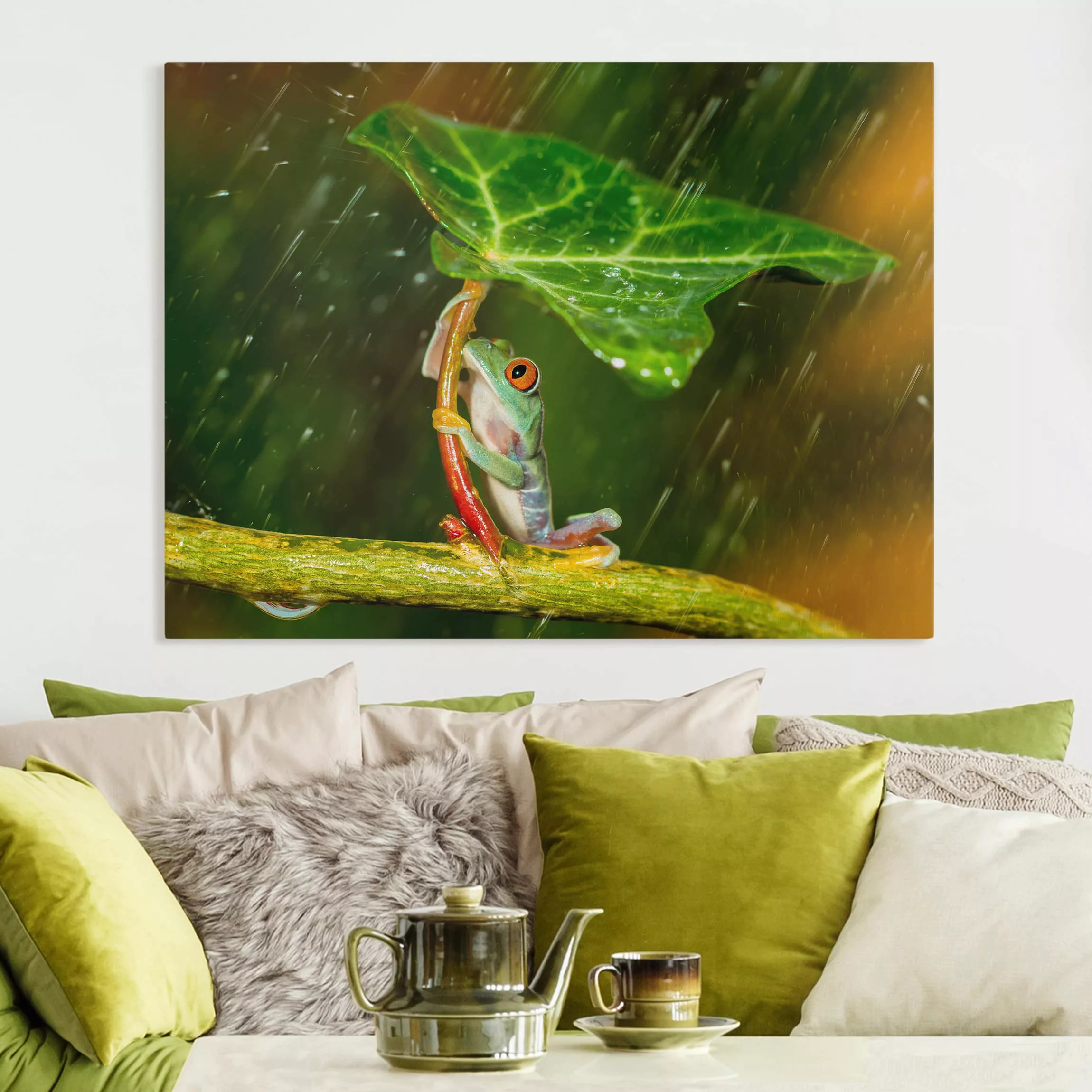 Leinwandbild Tiere - Querformat Ein Frosch im Regen günstig online kaufen