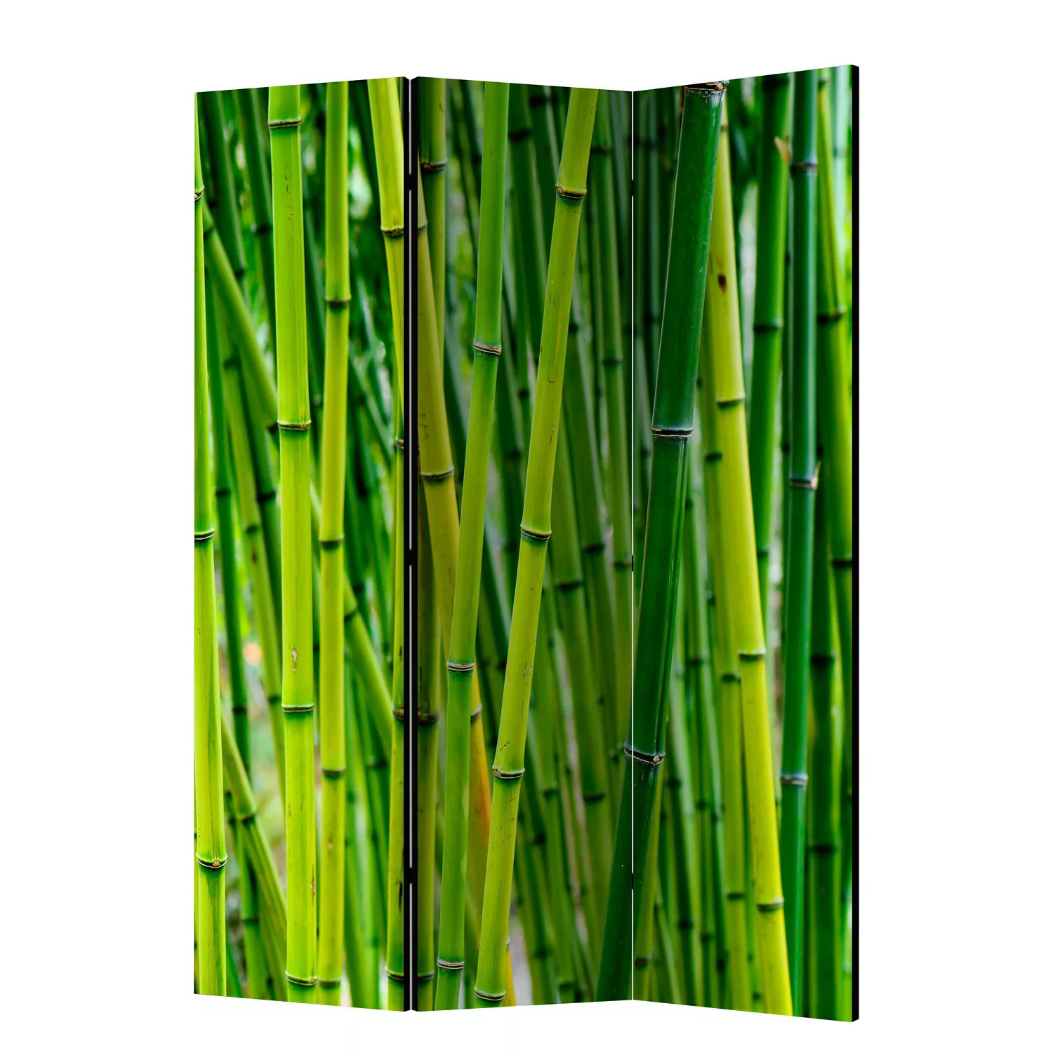 home24 Paravent Bamboo Forest günstig online kaufen