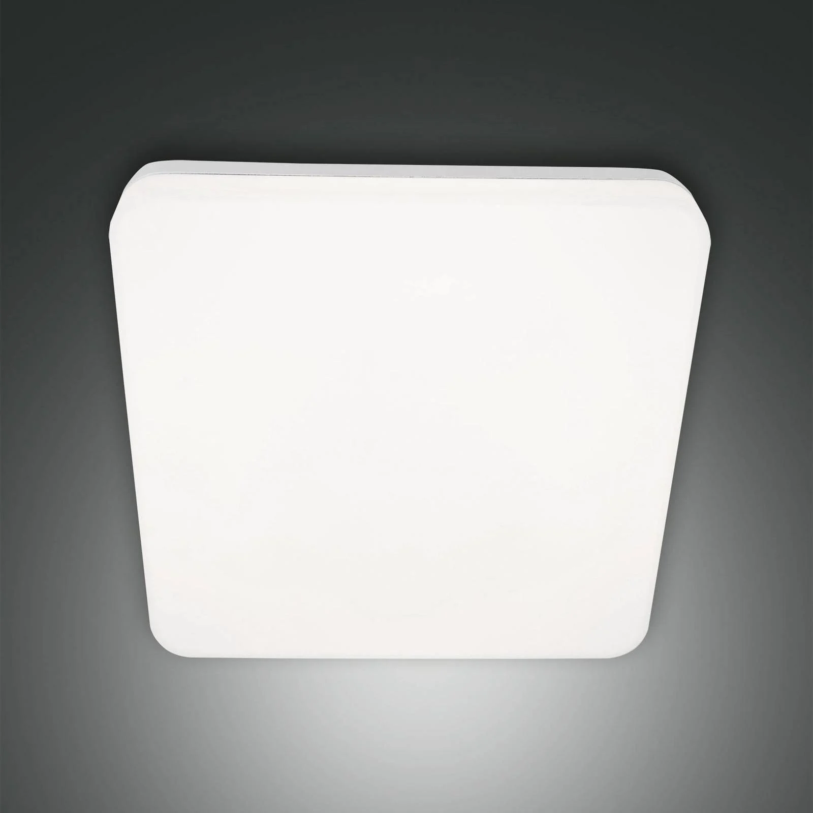 LED-Außendeckenleuchte Folk, 28 cm x 28 cm, weiß, IP65 günstig online kaufen