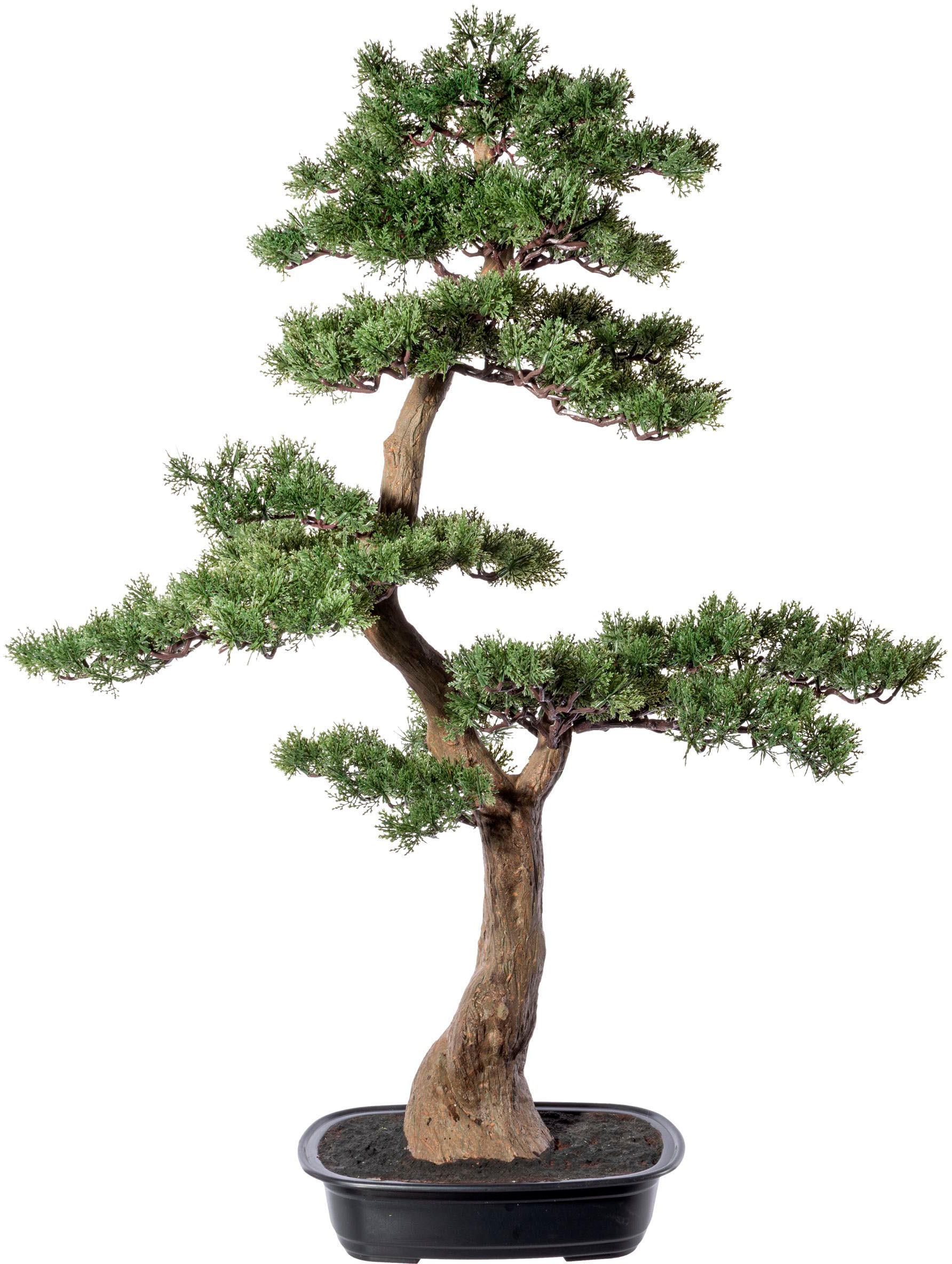 Creativ green Kunstbonsai "Bonsai Zeder" günstig online kaufen