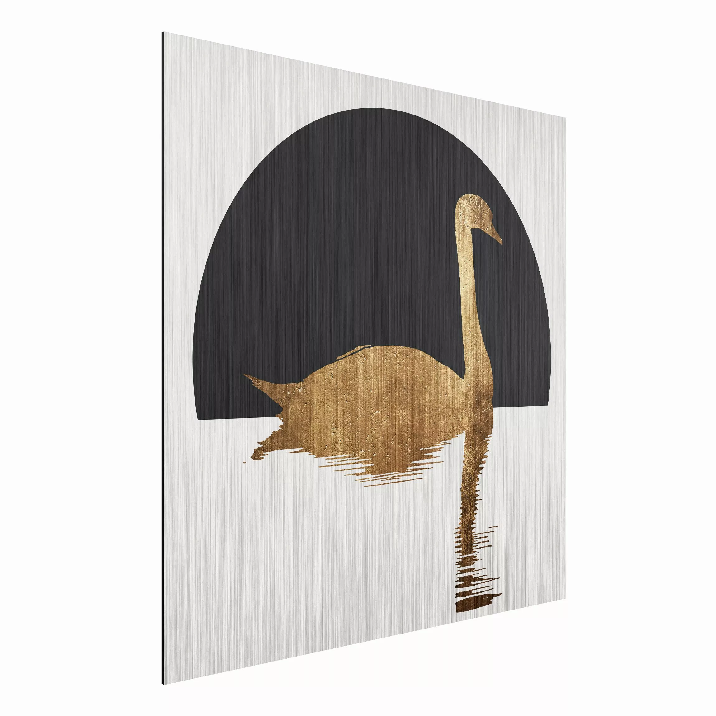 Alu-Dibond Bild Schwan in Gold günstig online kaufen