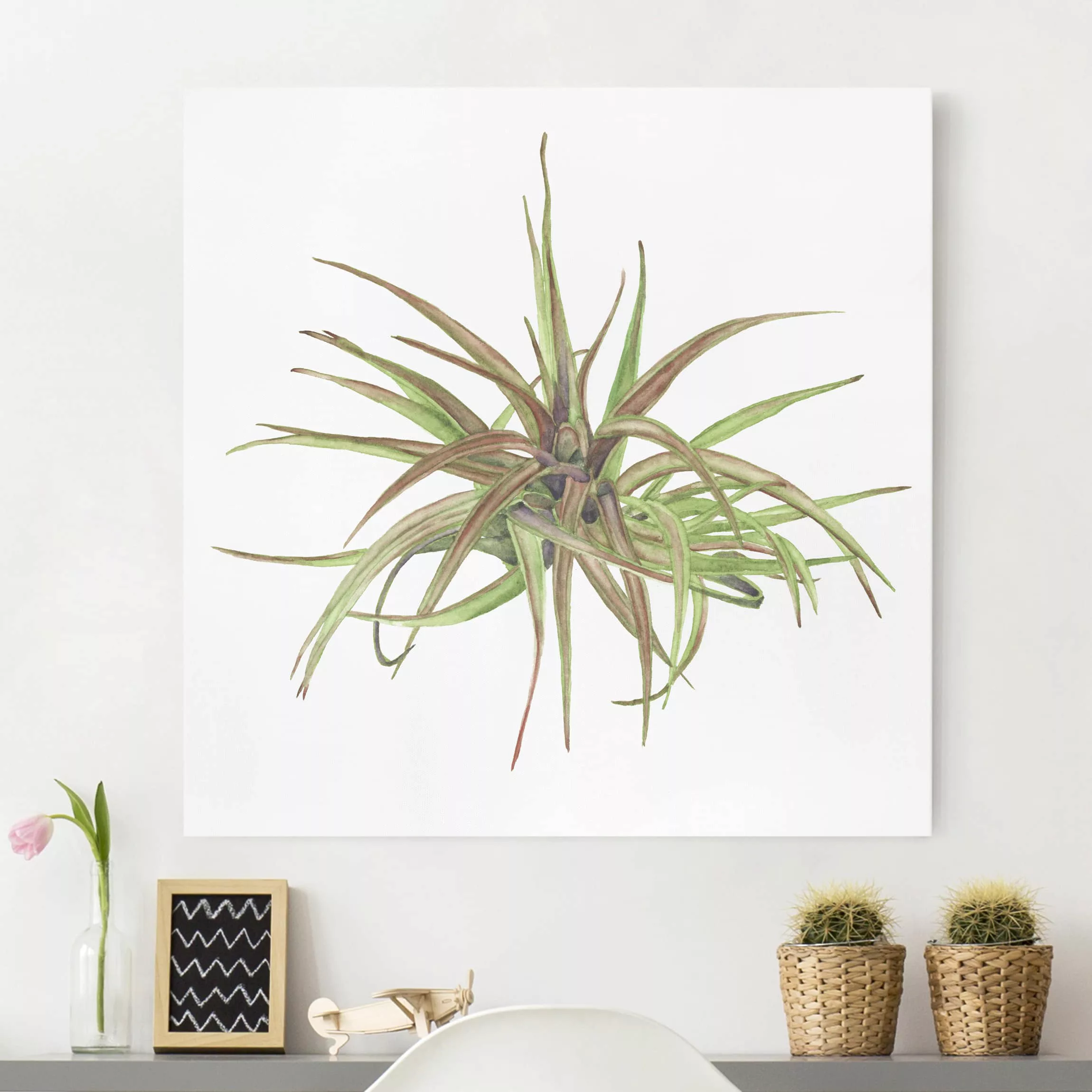 Leinwandbild Botanik - Quadrat Luftpflanze Aquarell II günstig online kaufen