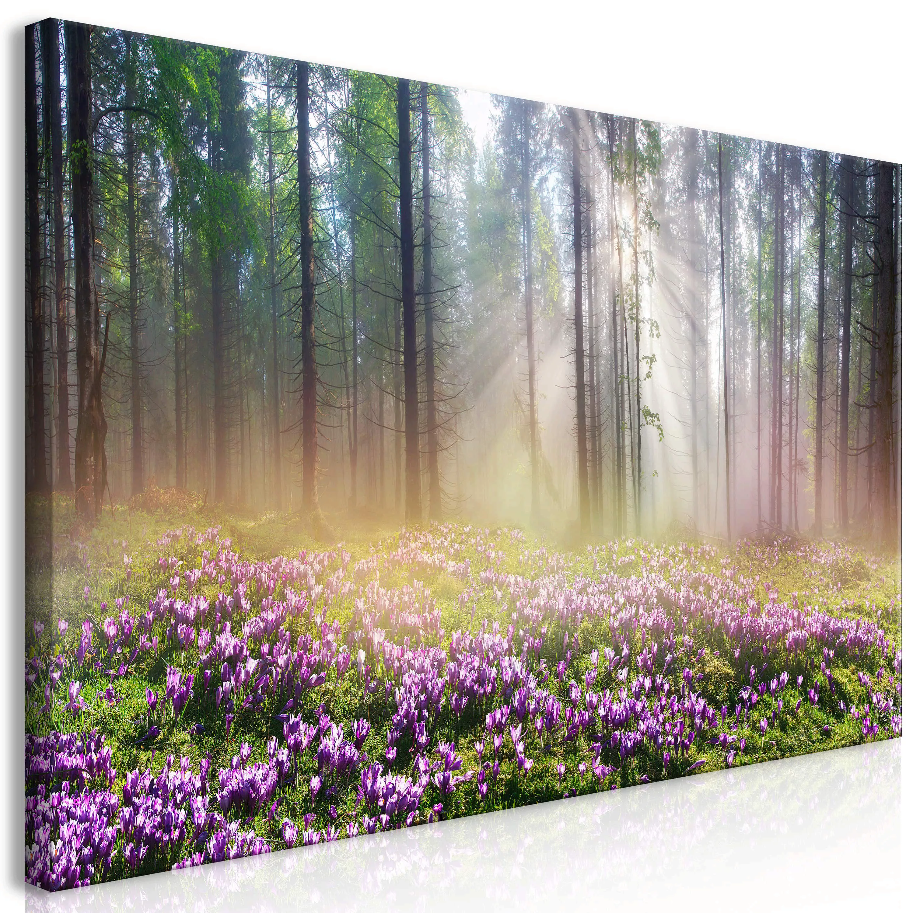 Wandbild - Purple Meadow (1 Part) Wide günstig online kaufen