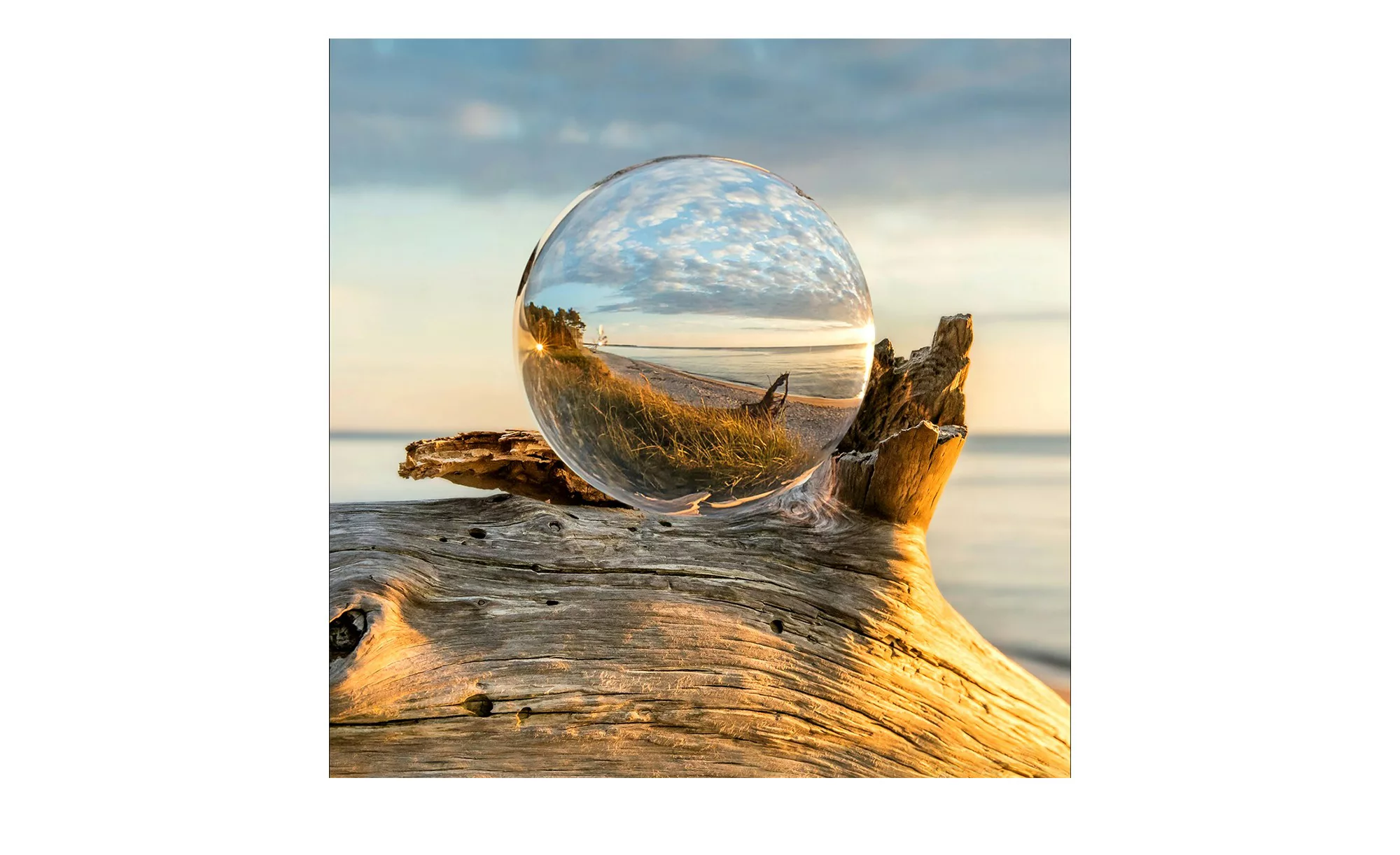 Glasbild 50x50 cm  Drop on Wood - 50 cm - 50 cm - Sconto günstig online kaufen